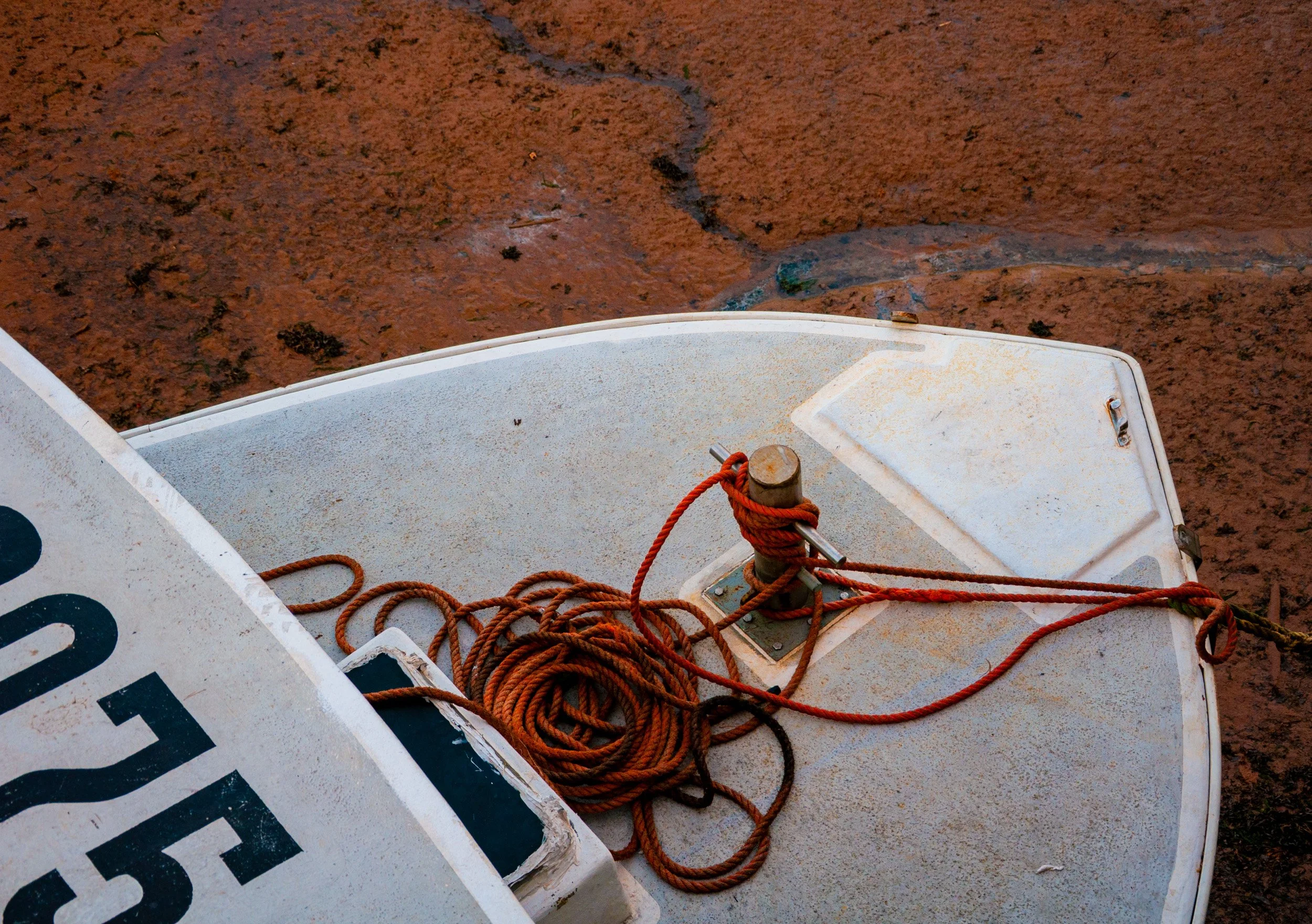 Anchored to the Ground - 0826