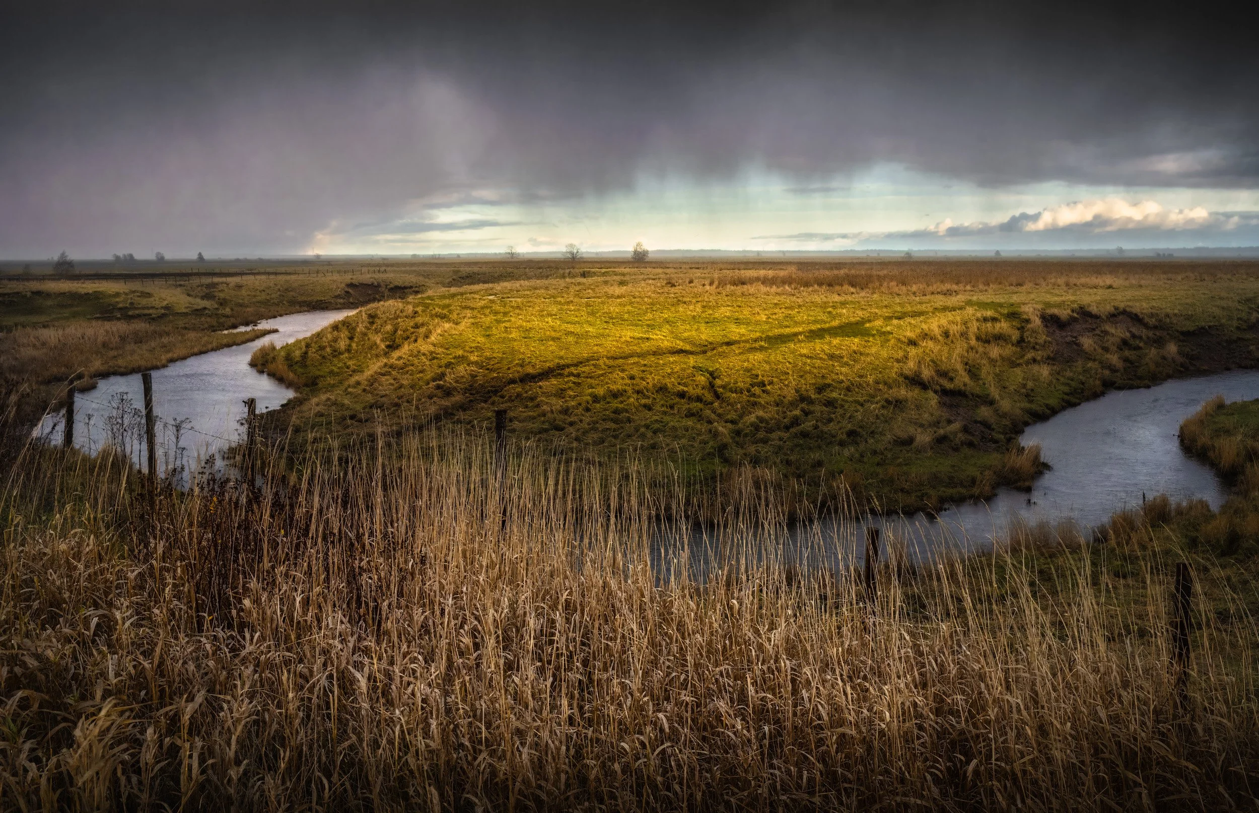 Storm Over Morice Creek - 5884