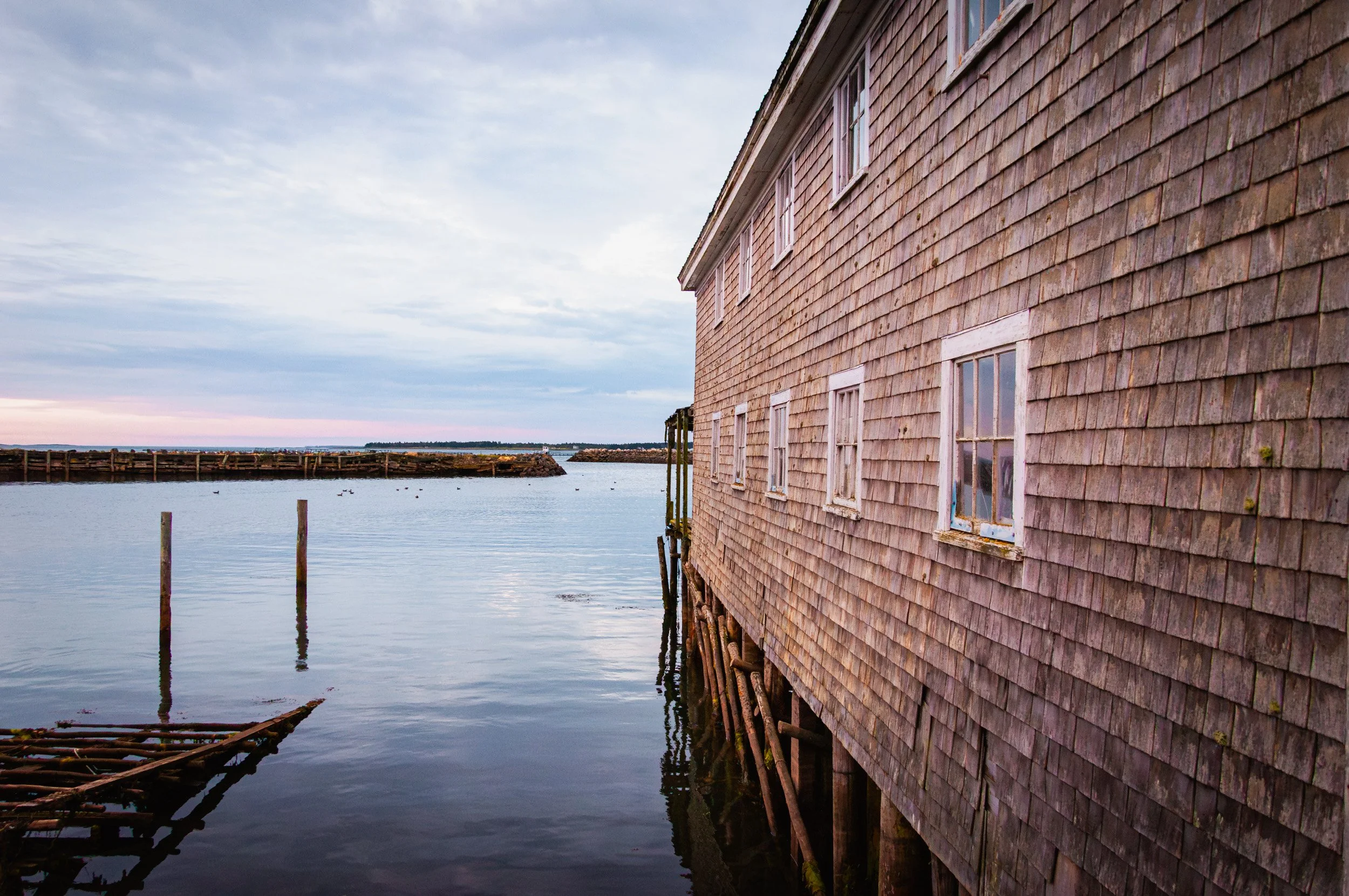Seal Cove Sunrise - 0946