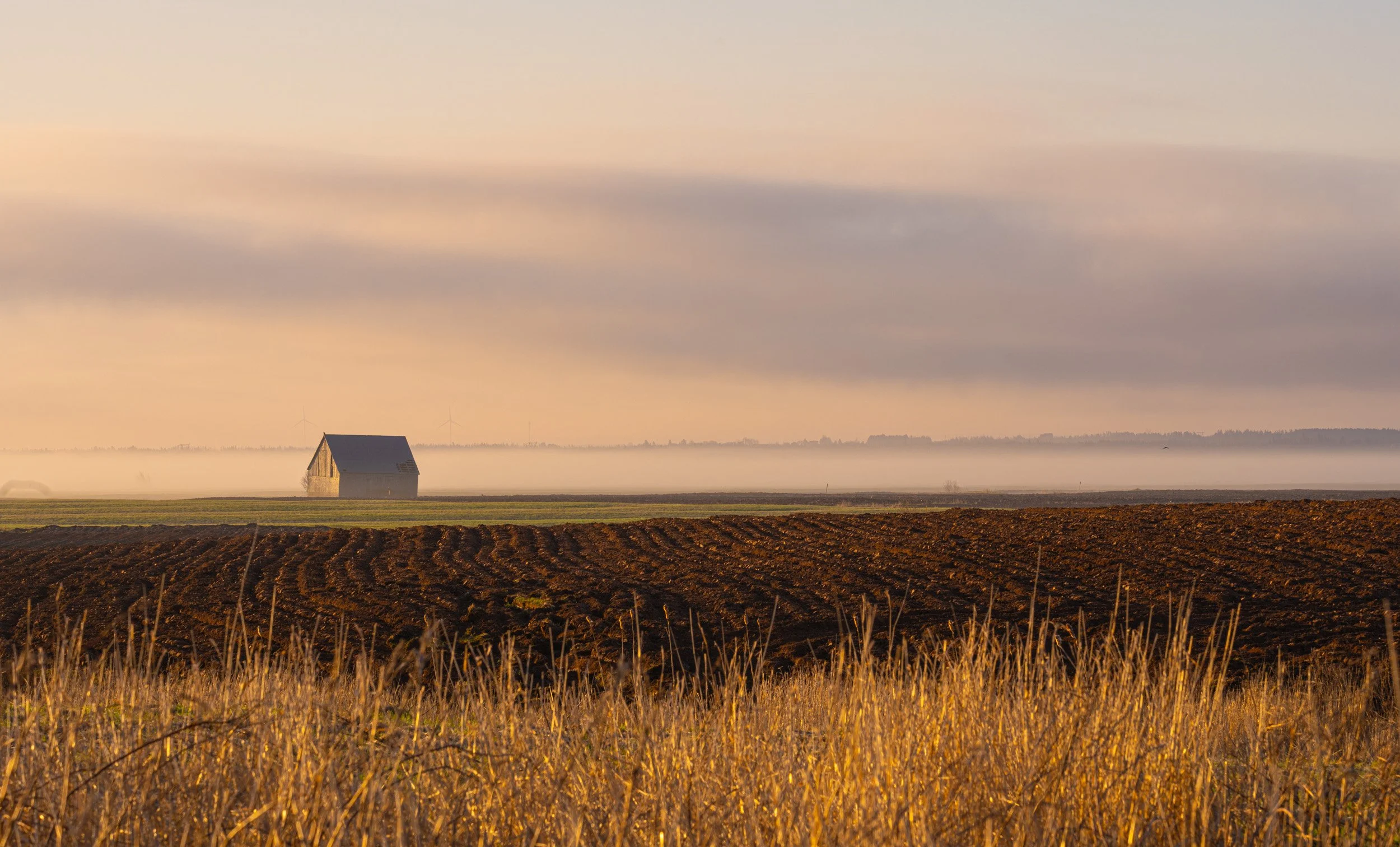 Hay Barn on the Marsh no.2 - 0398