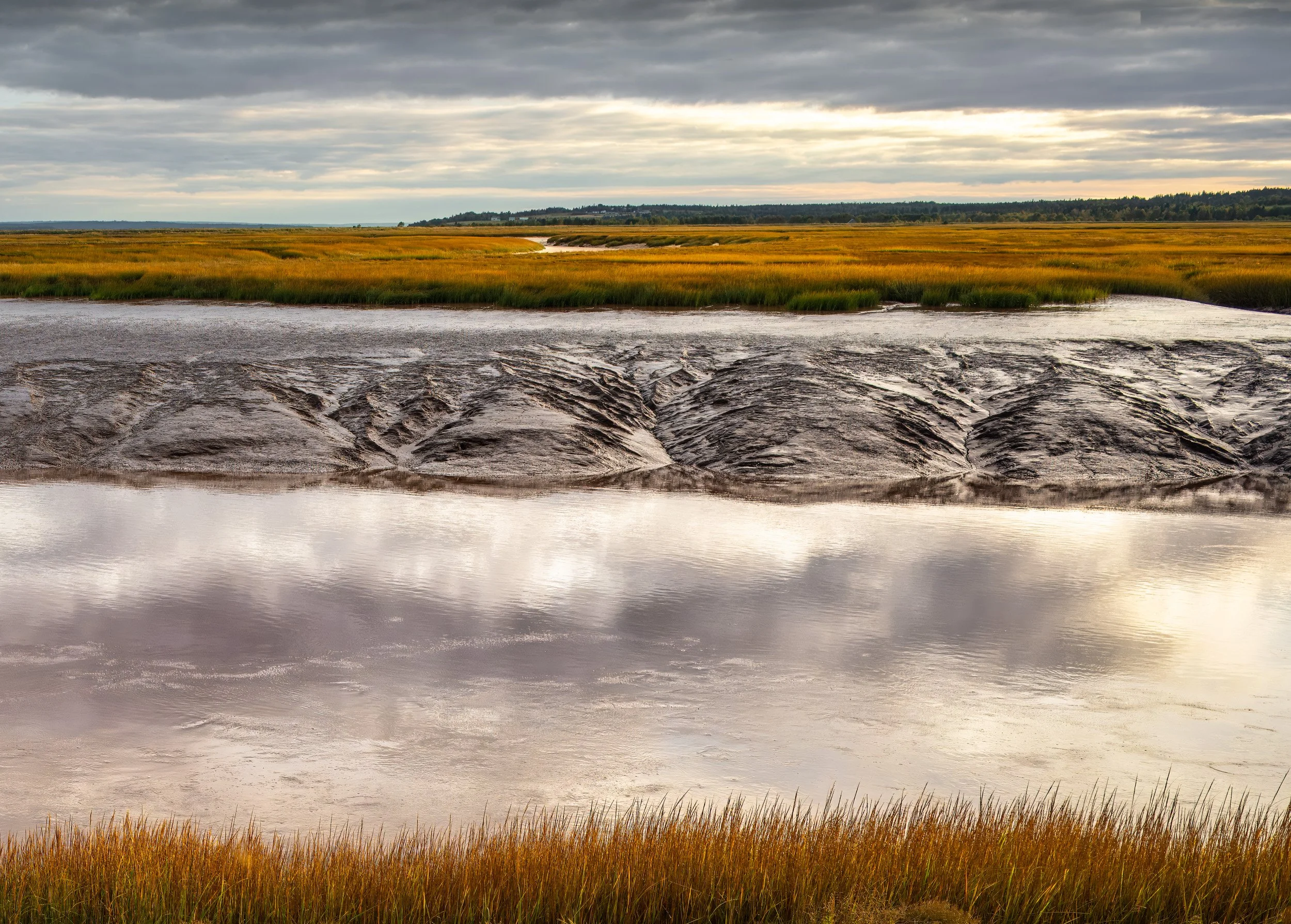 Tidal Patterns - 1686