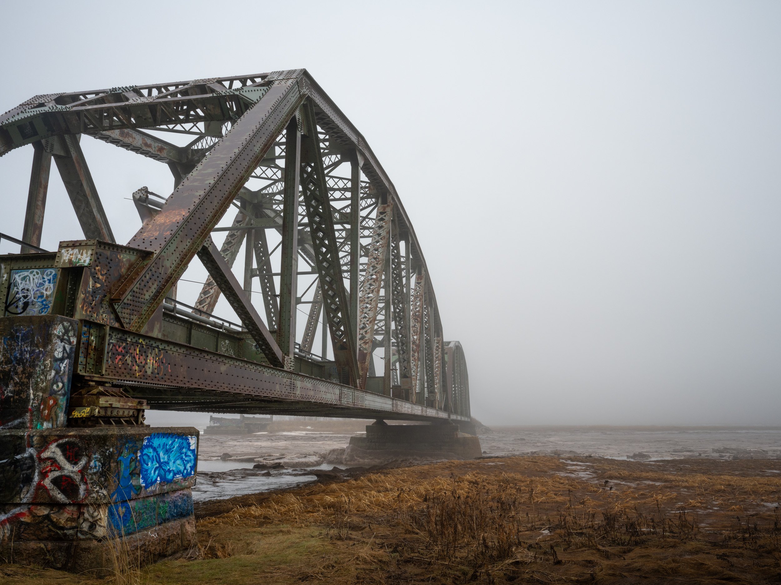 A Bridge to Fog - 6359