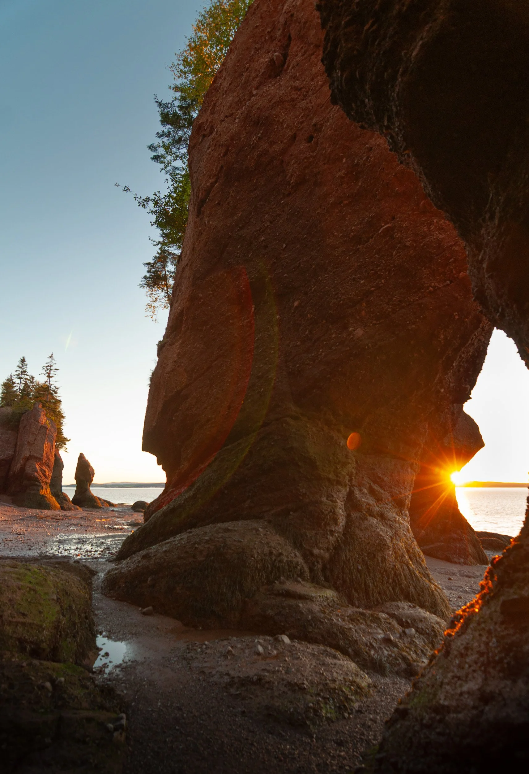 Hopewell Rocks Sunrise No. 1 - 0881