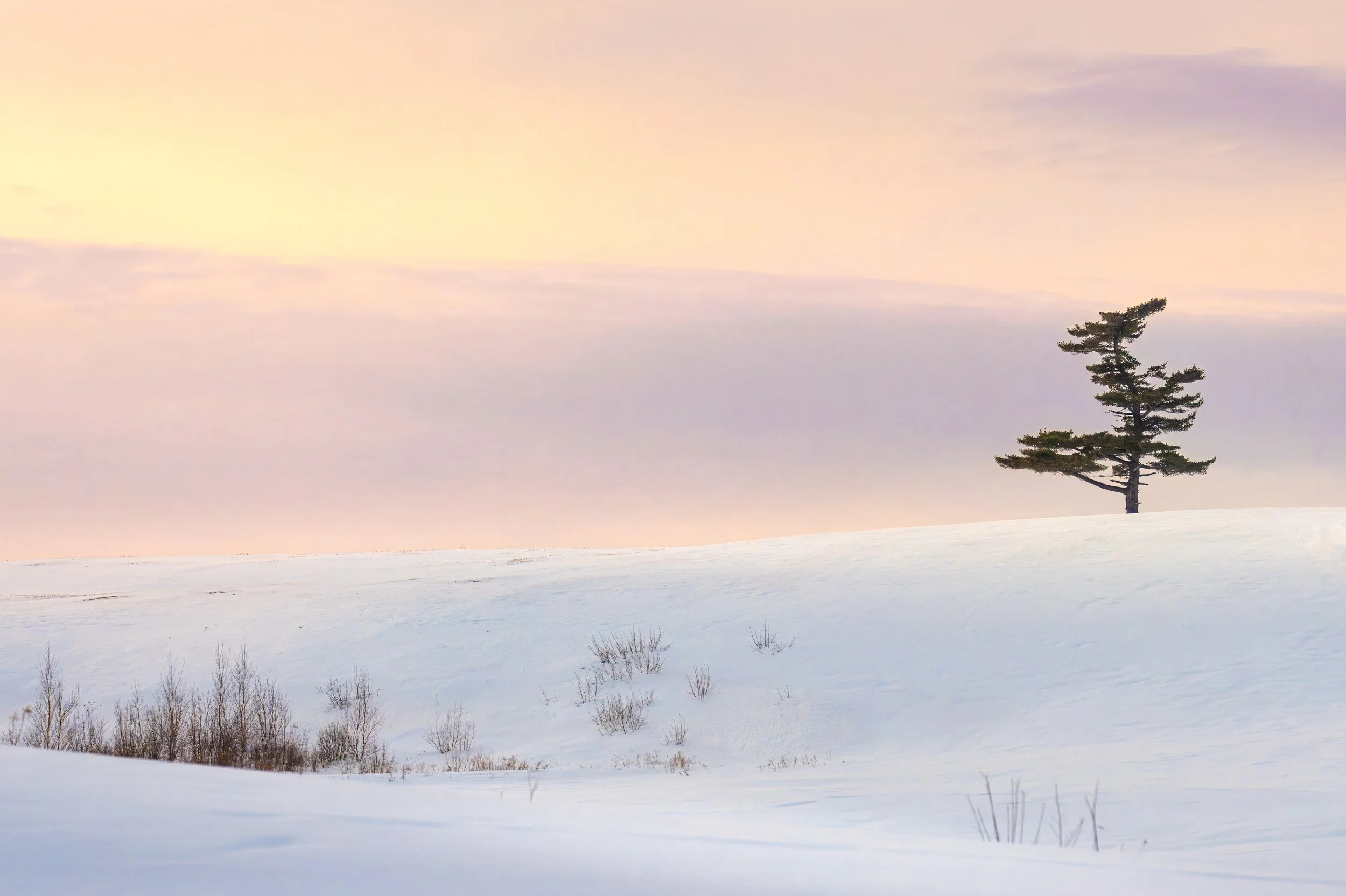Ethereal Winterscape - 3380