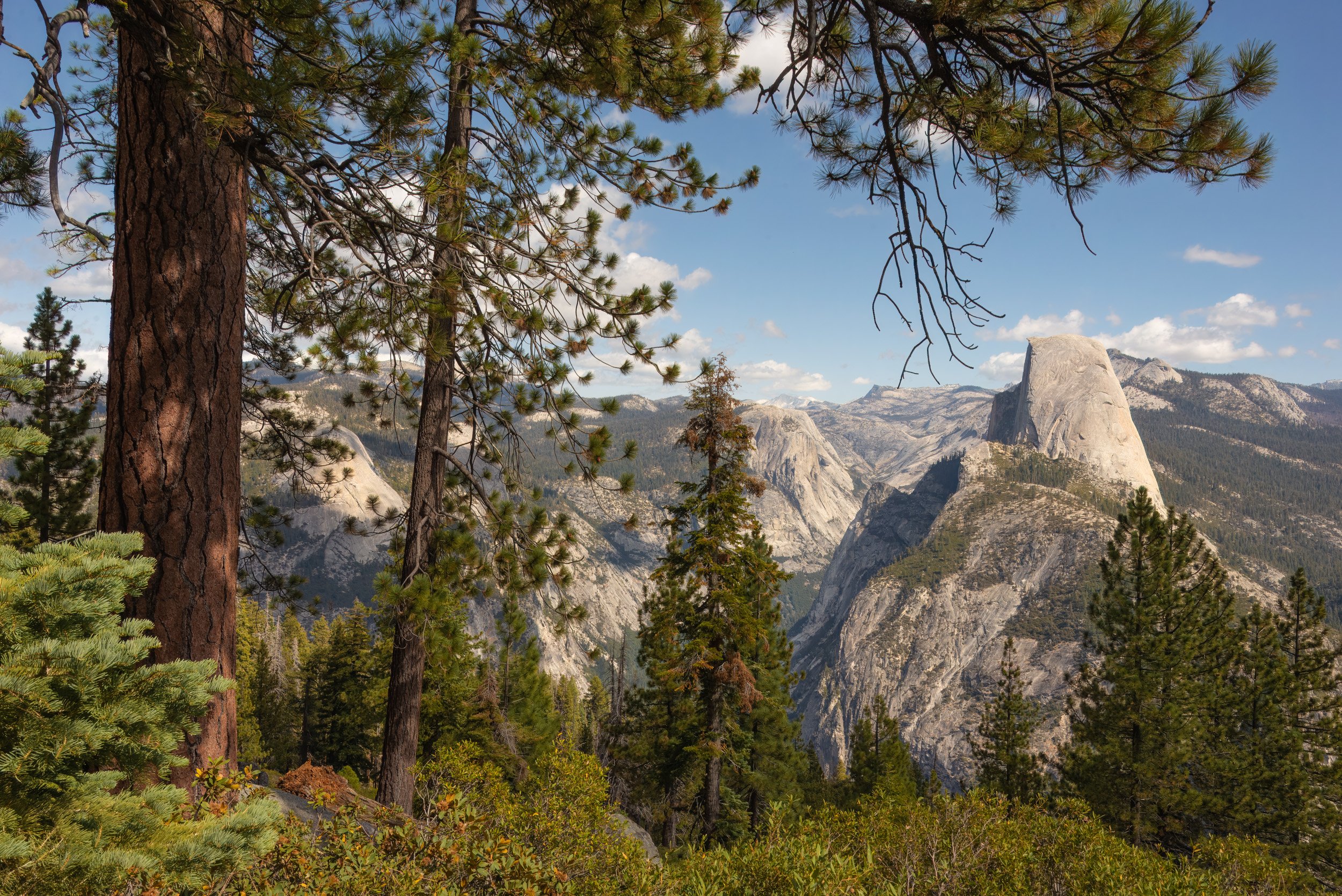 A Window to Half Dome - 7726