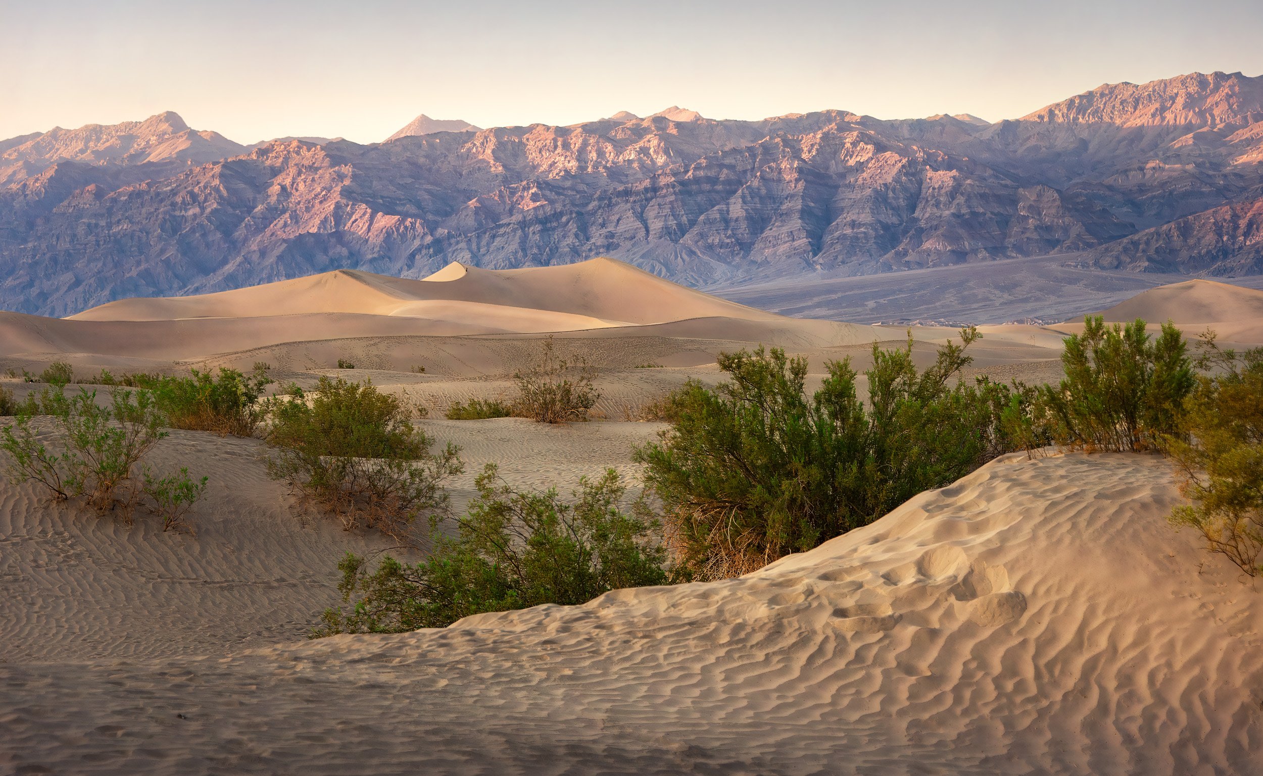 Whispers of Light and Sand - 8307