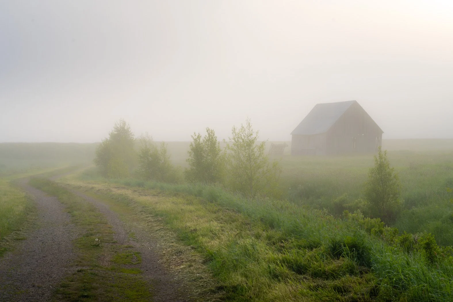 The Waiting Barn - 7525