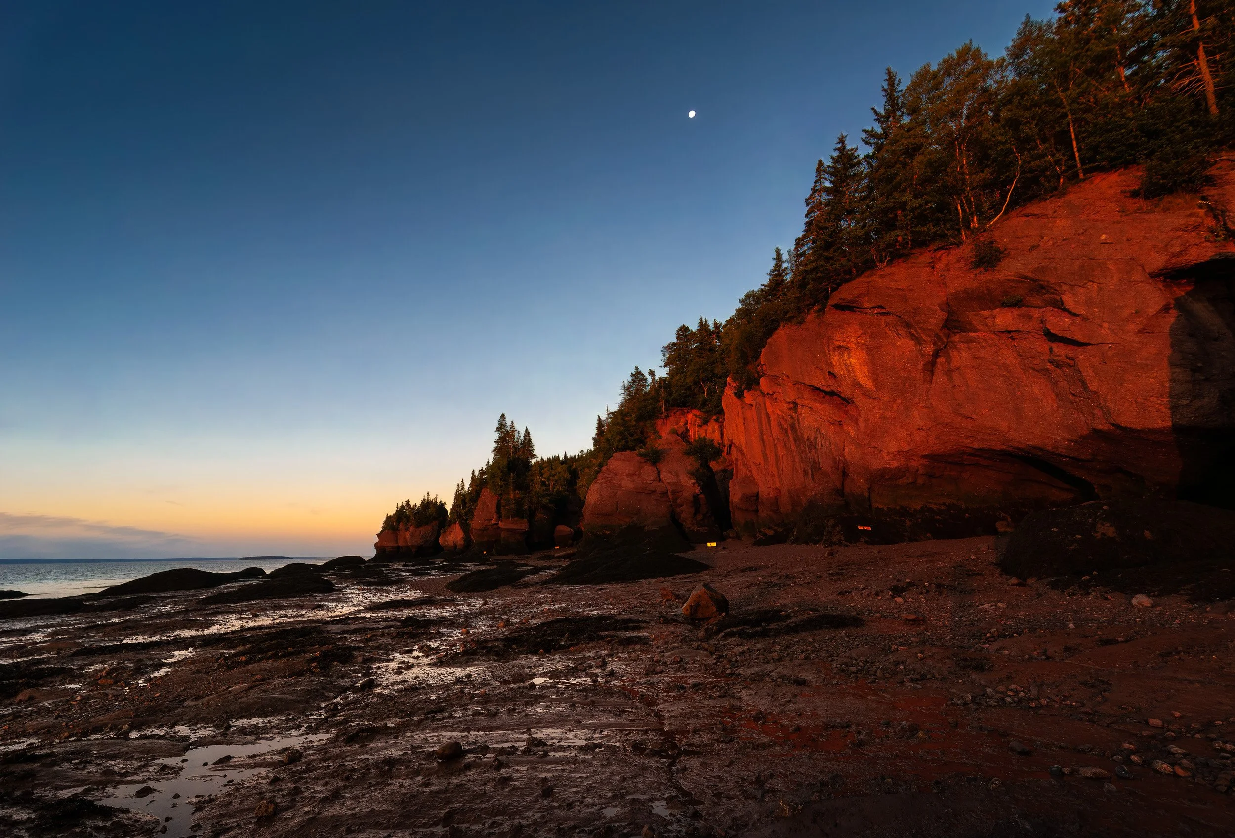 Red Cliffs of Fundy - 0872