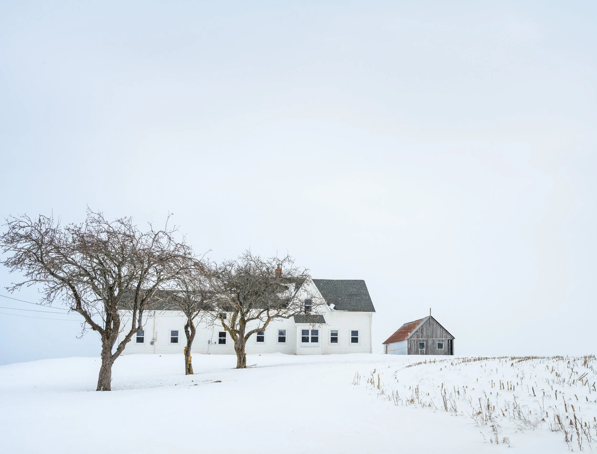 Quiet Winter - 6249
