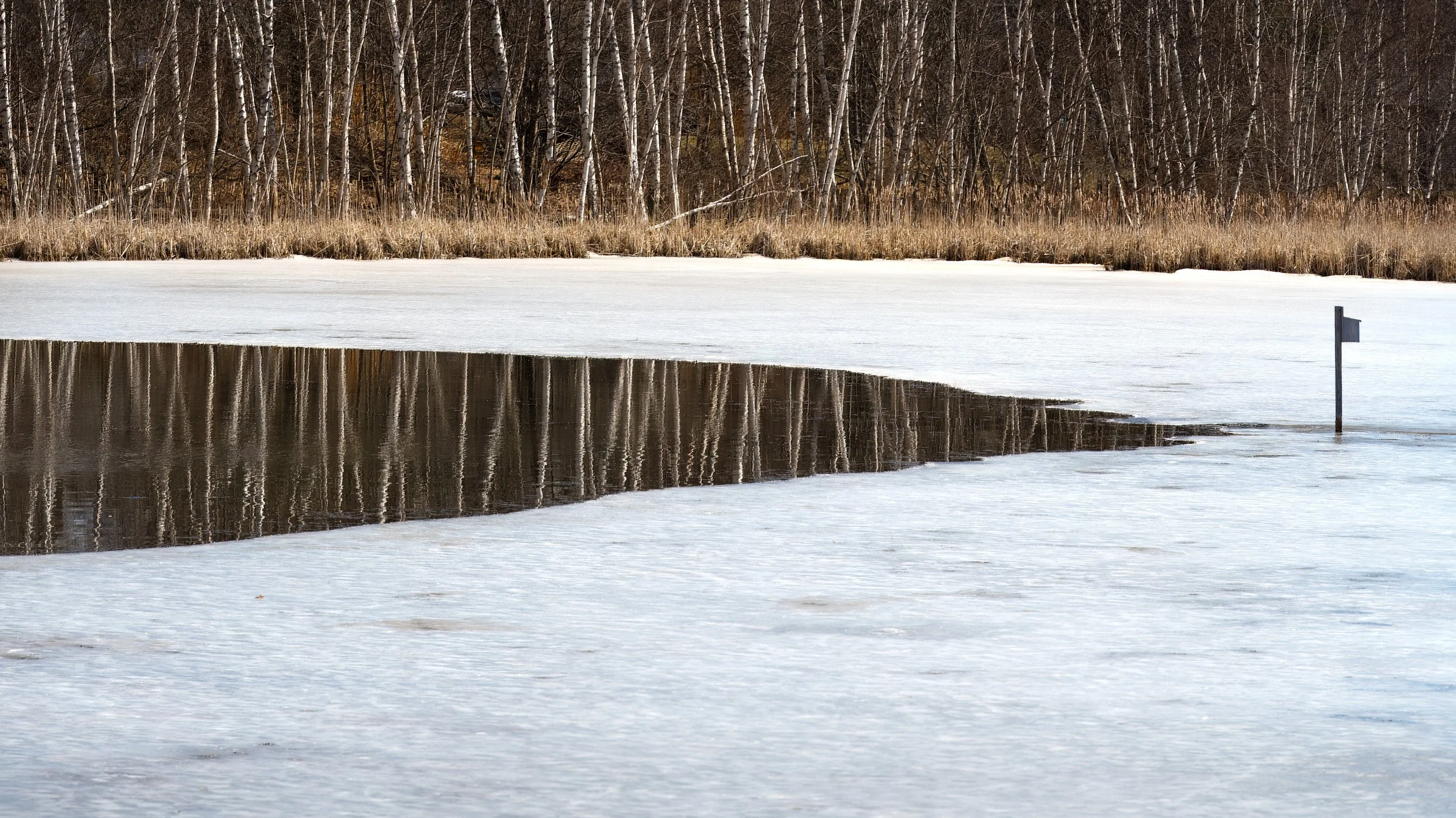 Between Ice and Water - 6617