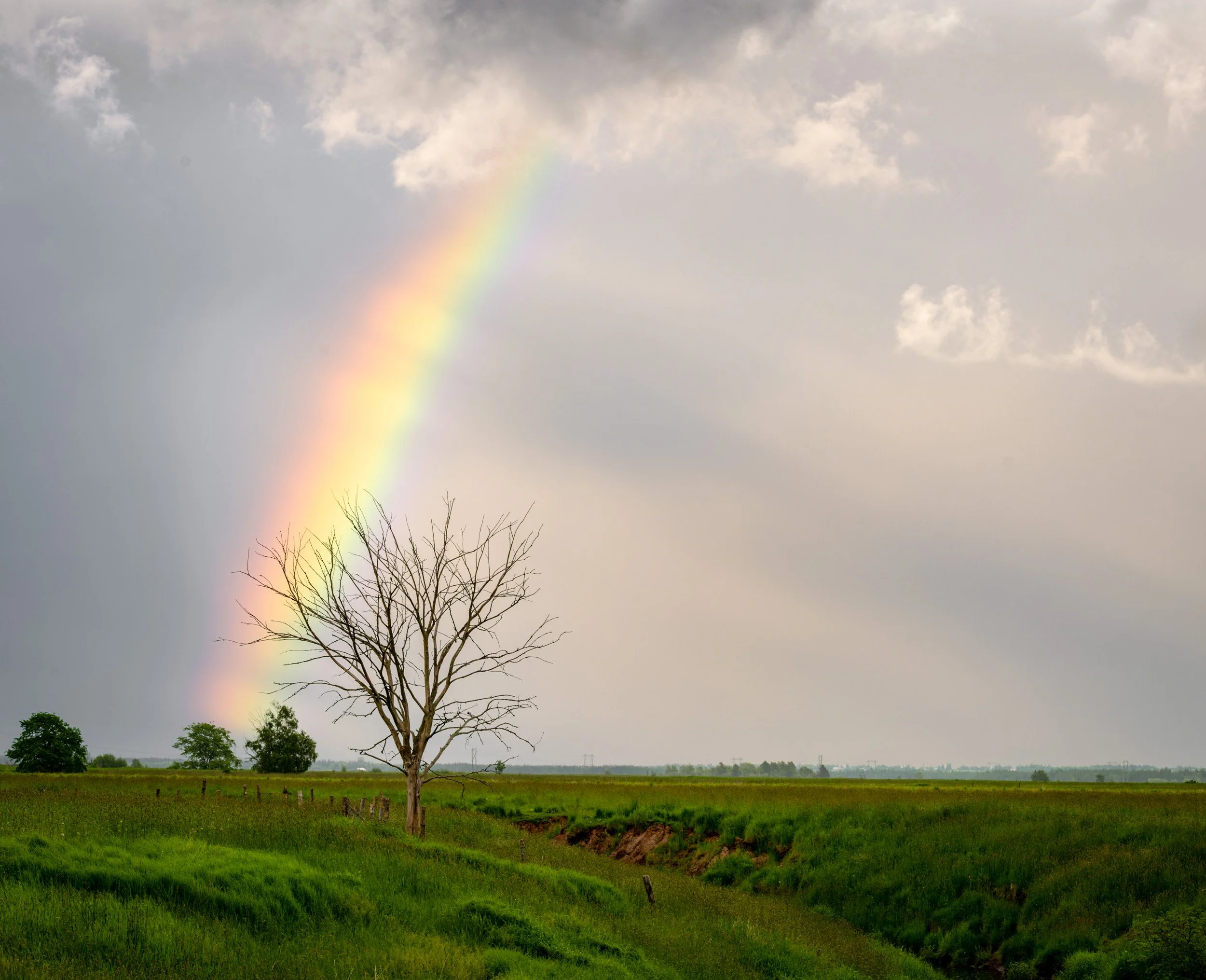 Under the Rainbow - 0869