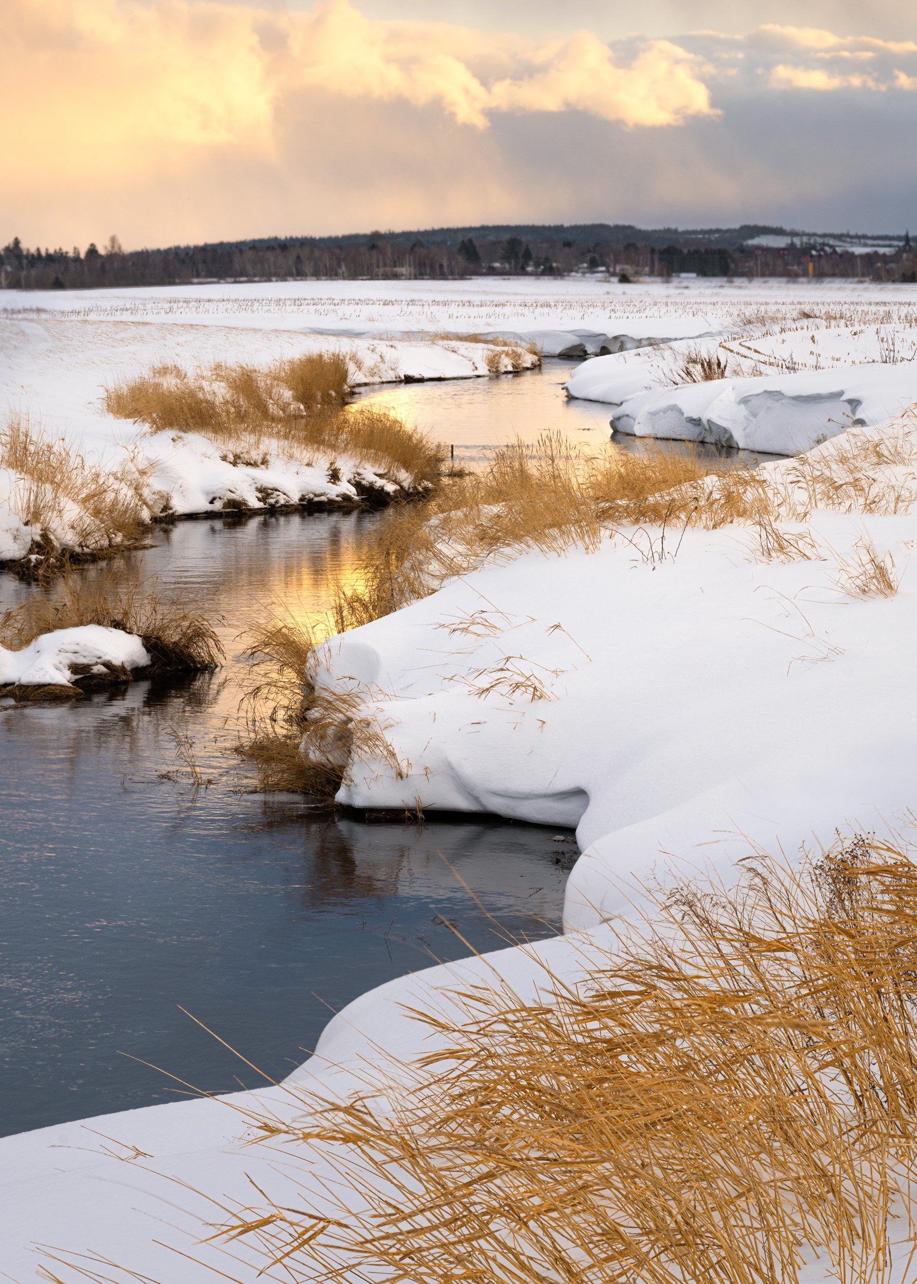 Meandering in Winter - 2701