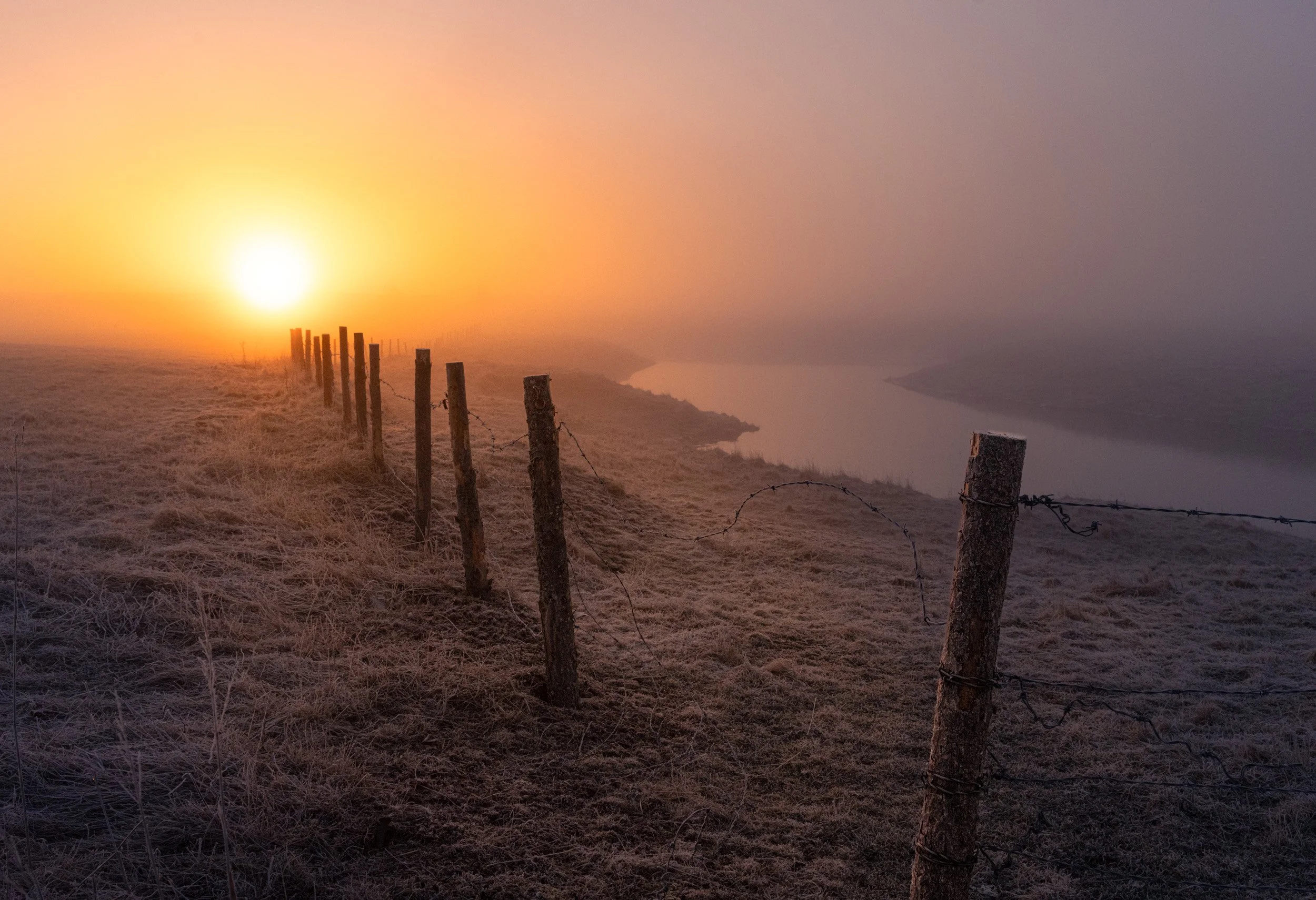 Sunrise on a Fence - 3392