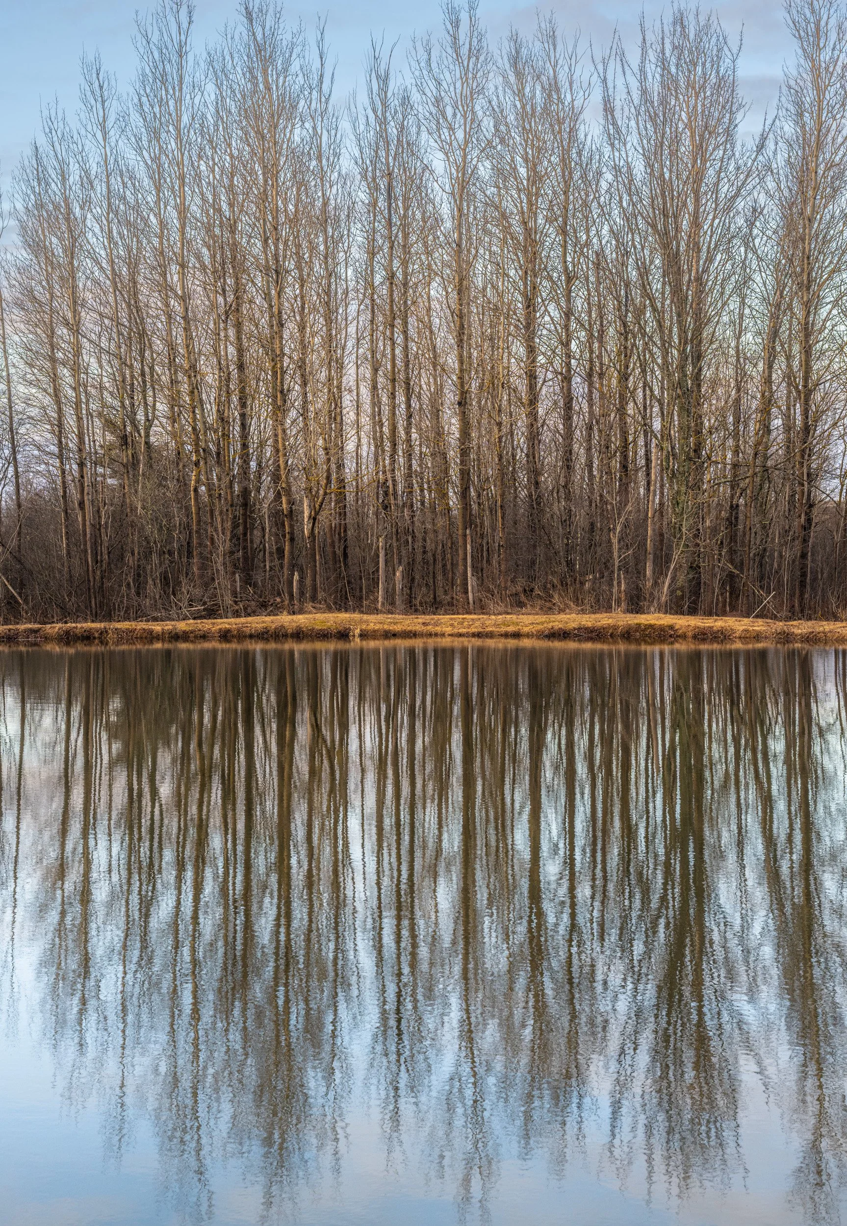 Lines of Still Water - 6873