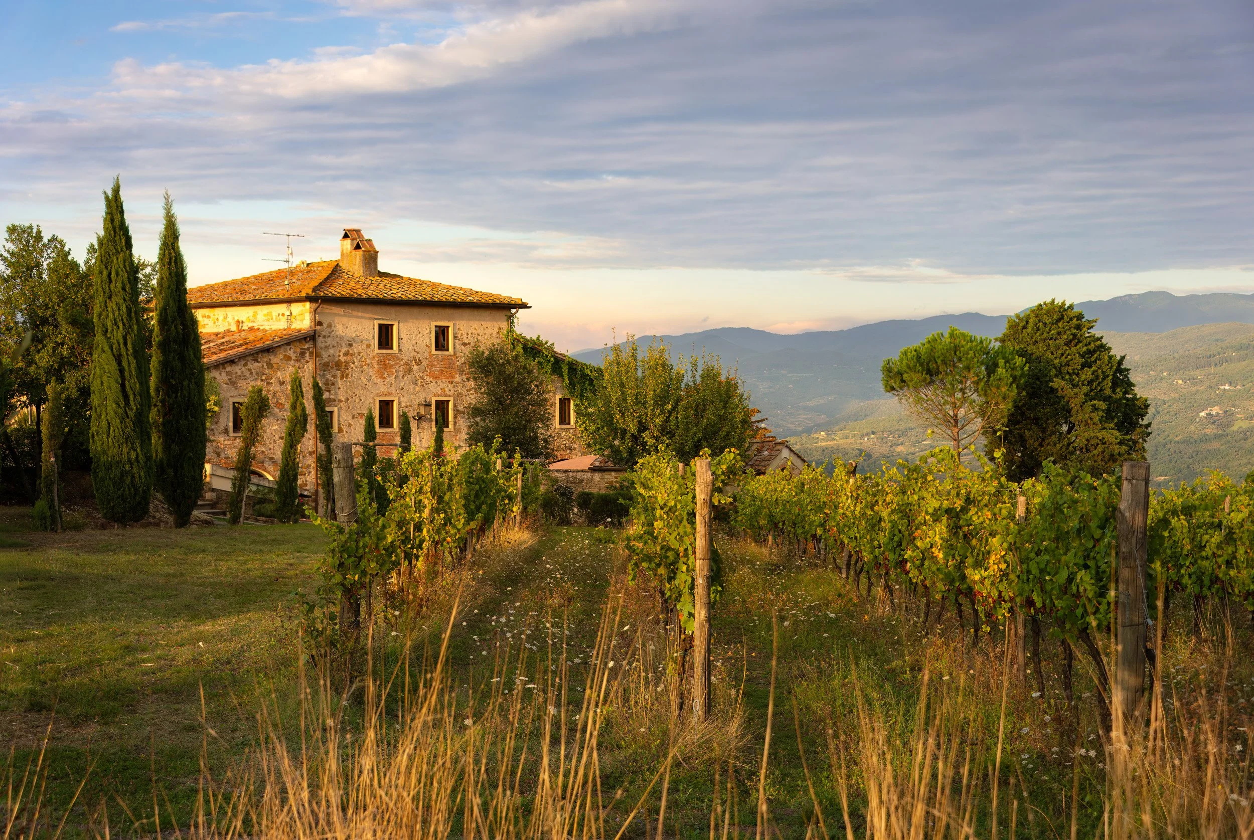 That Day in Tuscany - 3718