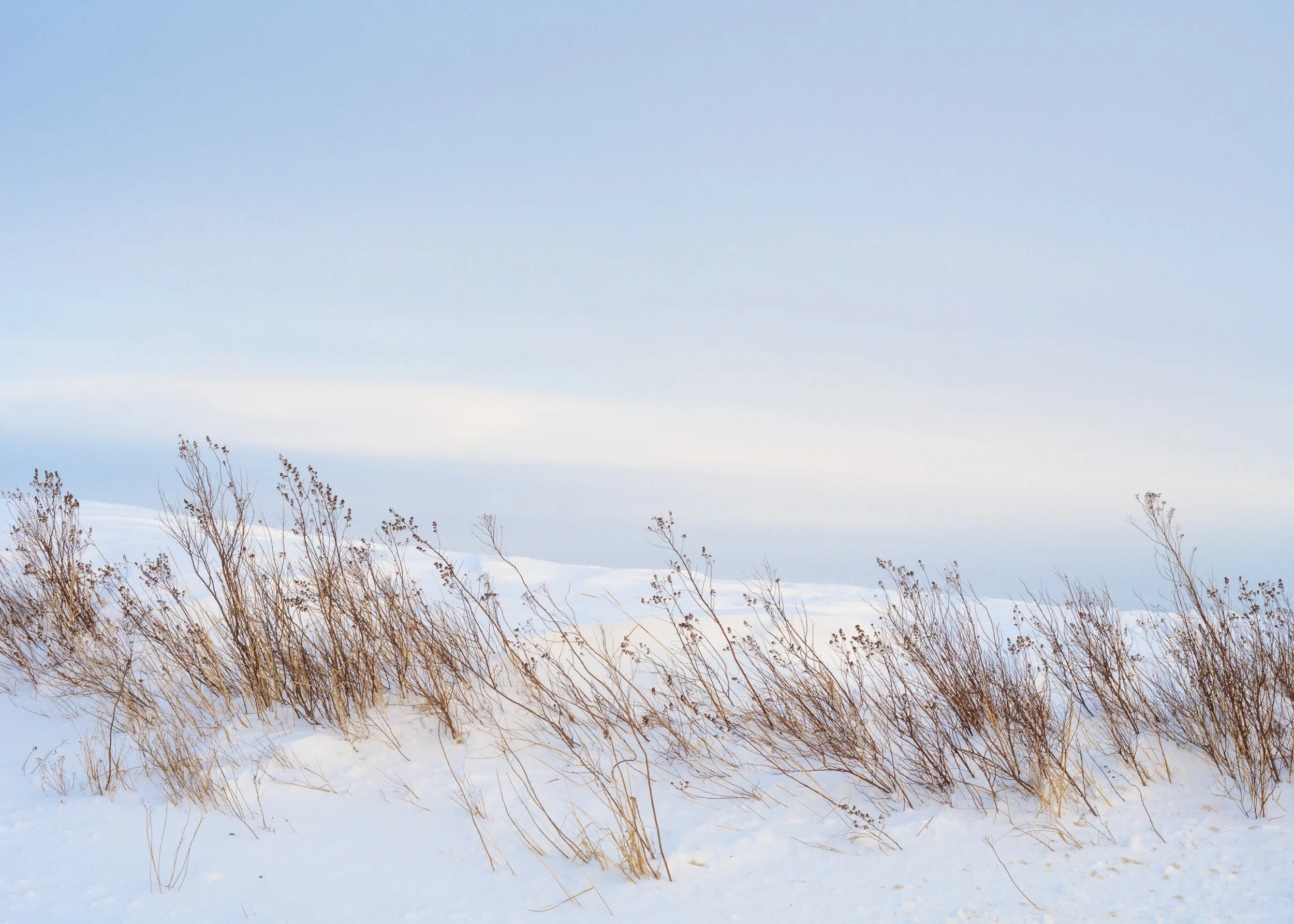 Quiet Horizon - 6333