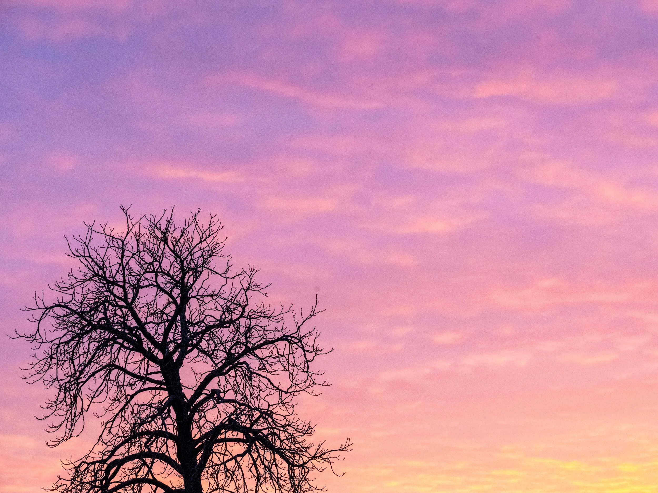 Candy Colour Sky - 6696
