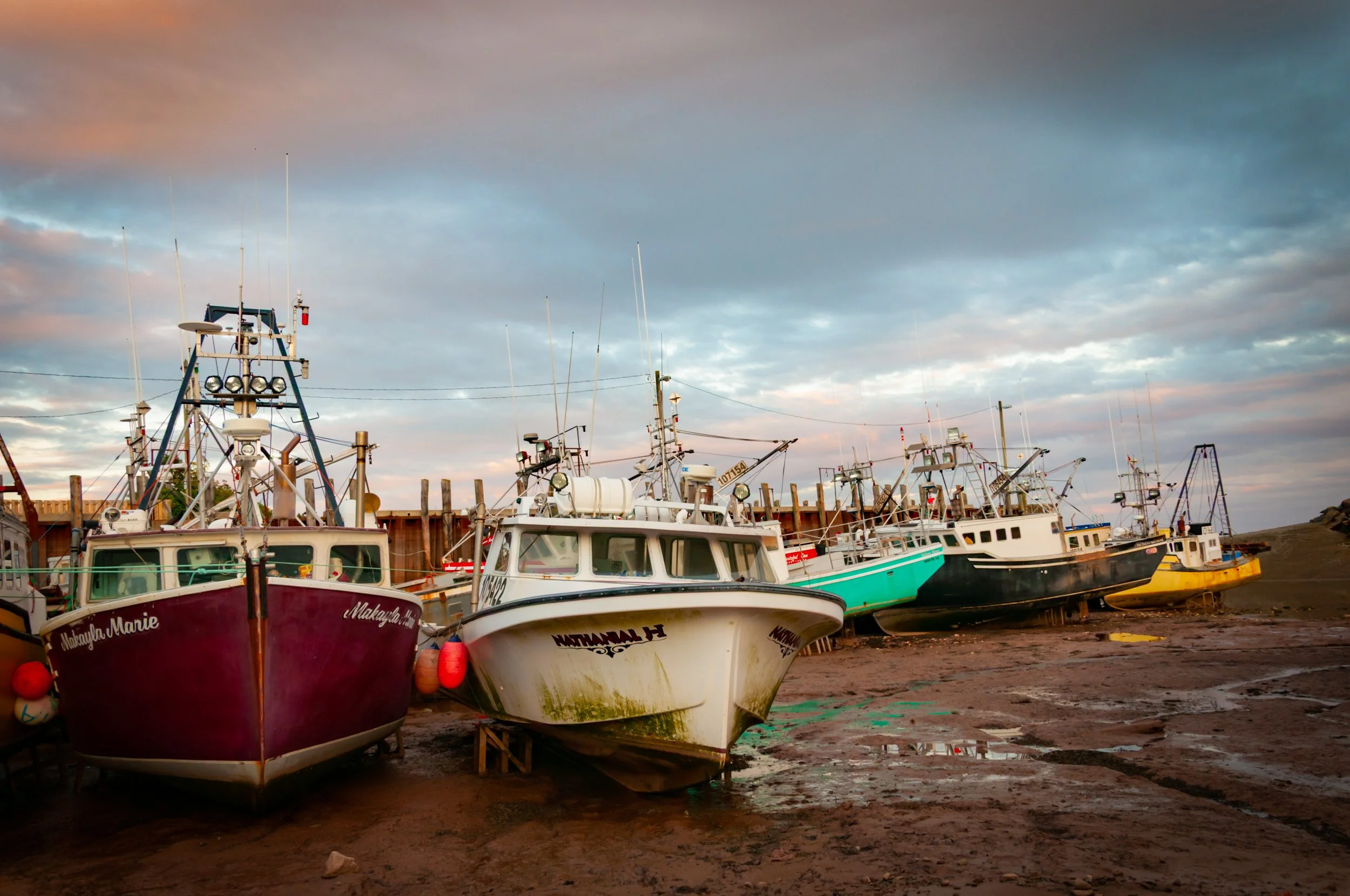 Sunrise at Alma Harbour - 0836