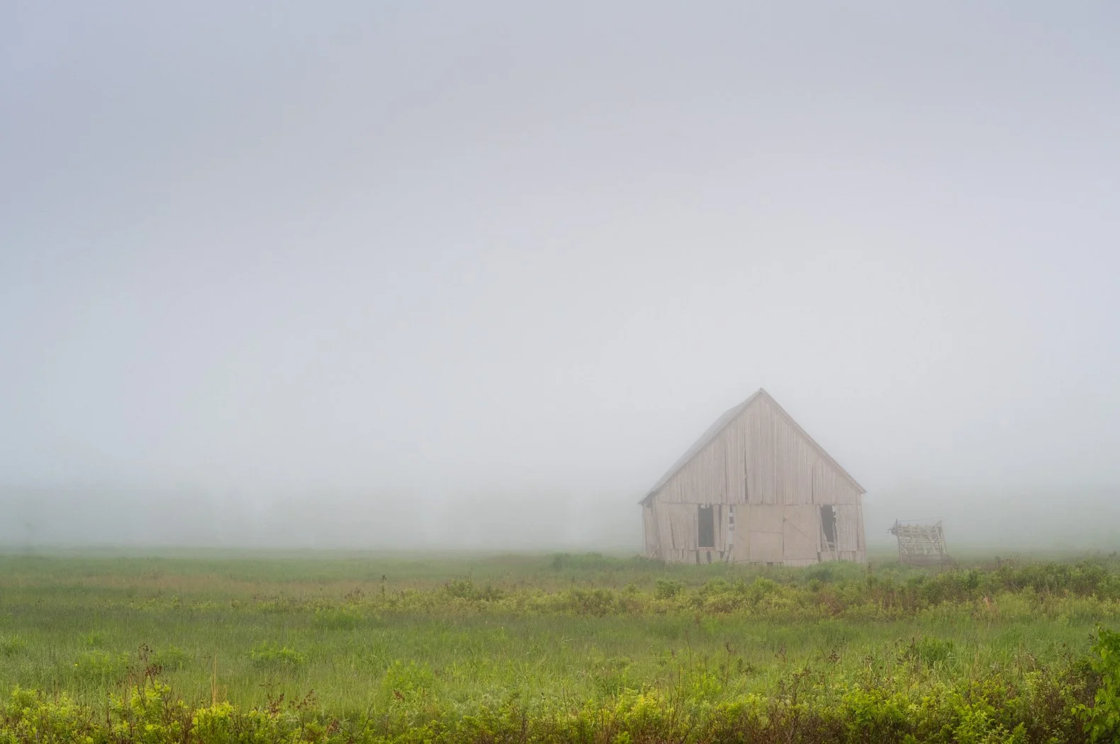 Barn in Morning Mist - 7492
