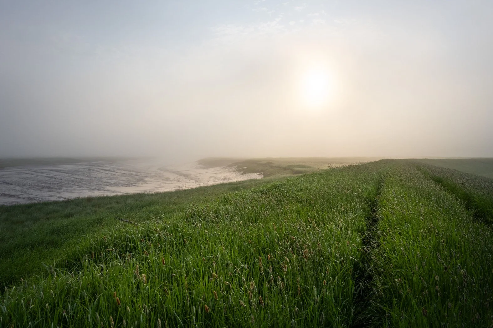 Ride Along the Misty Dykes - 7519