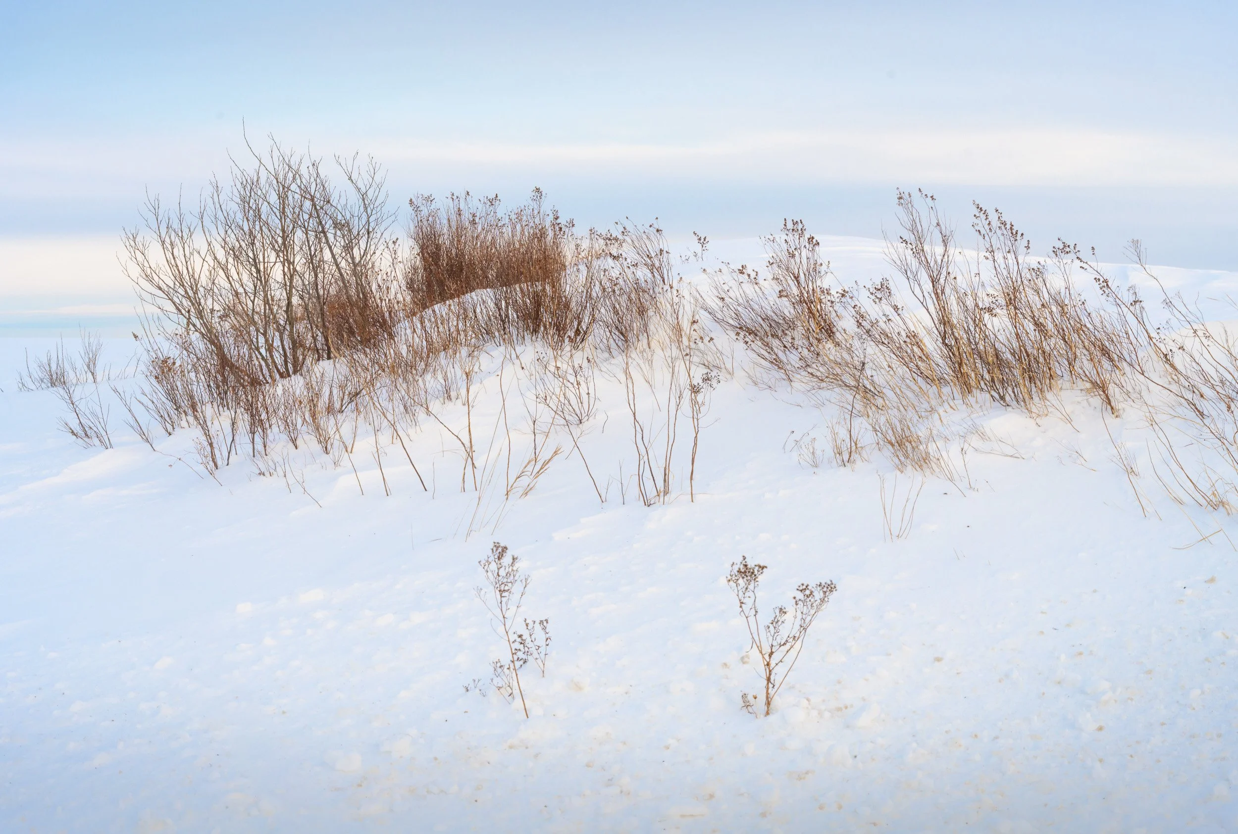 Held by Snow - 6338