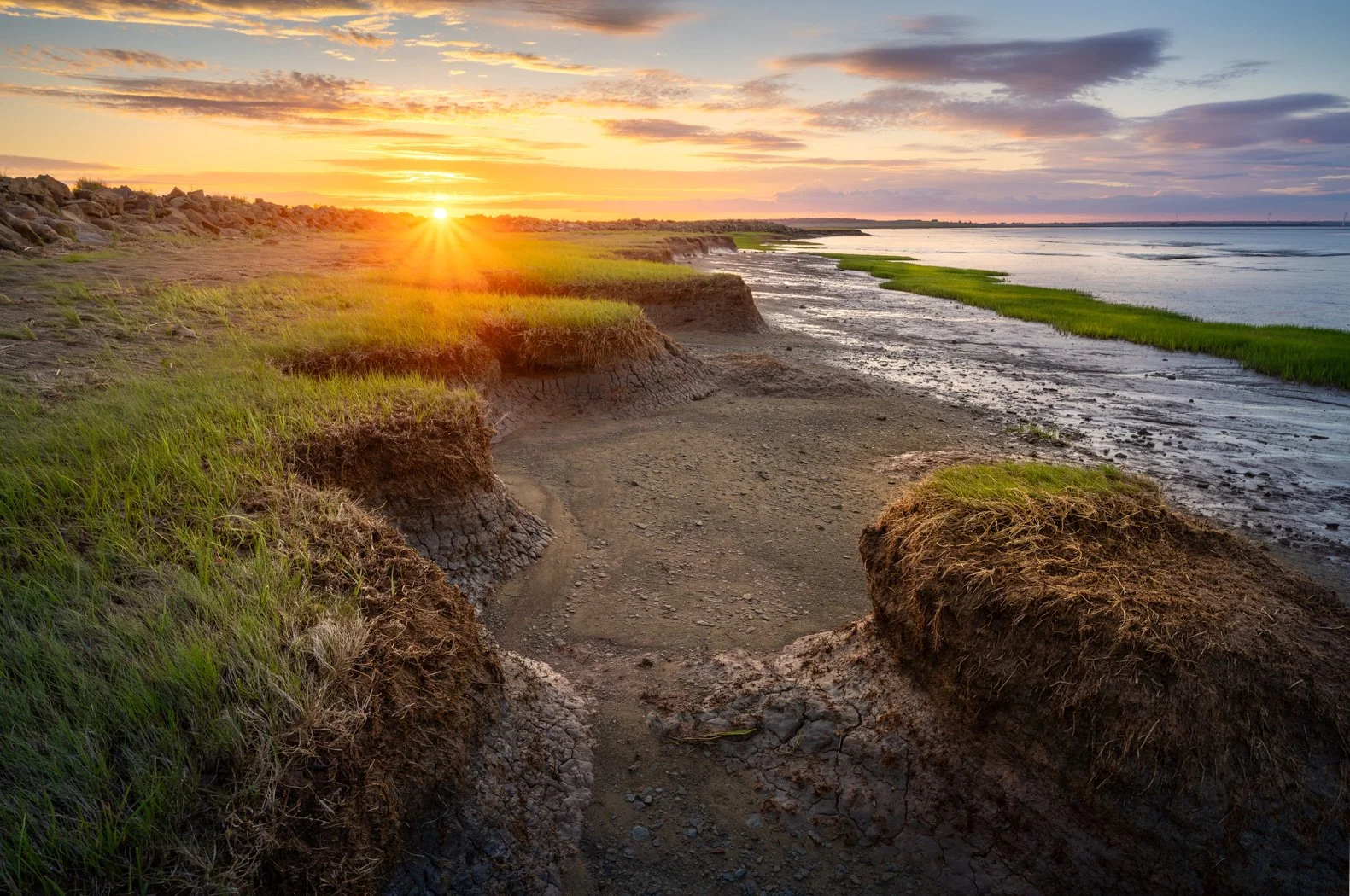 Morning on the Edge of Fundy - 7622