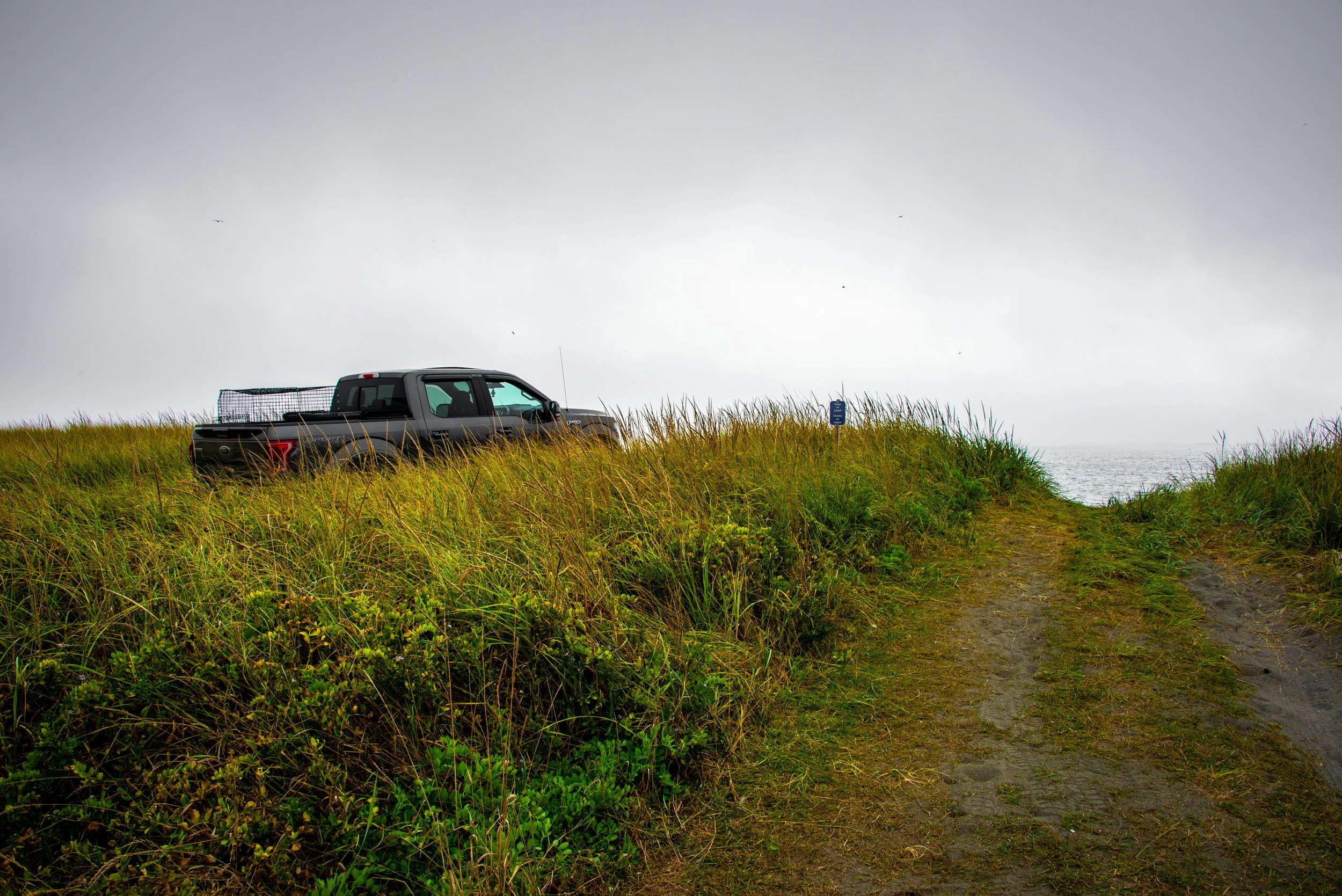 Truck with an Ocean View - 5985