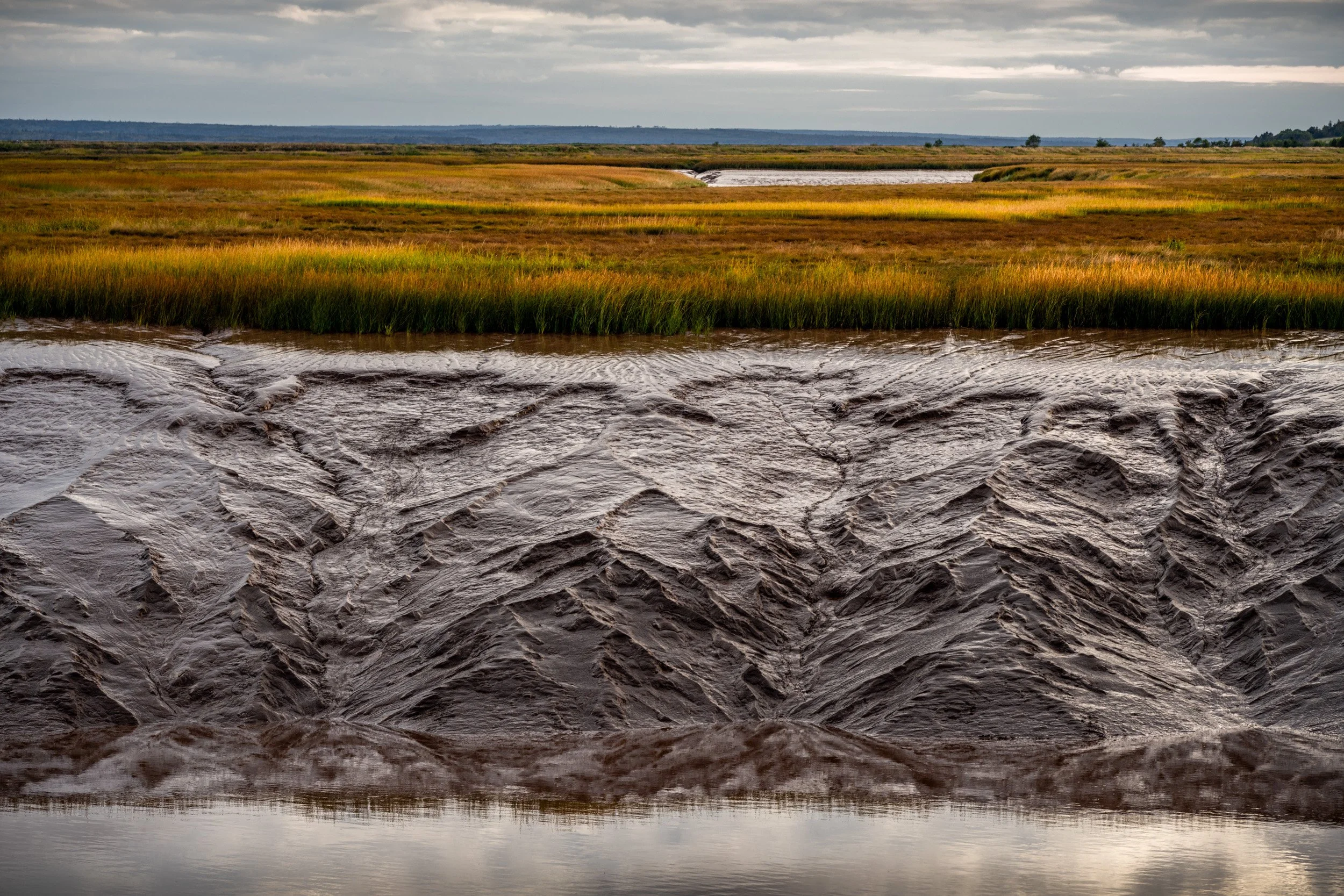 Tidal River Art - 1701