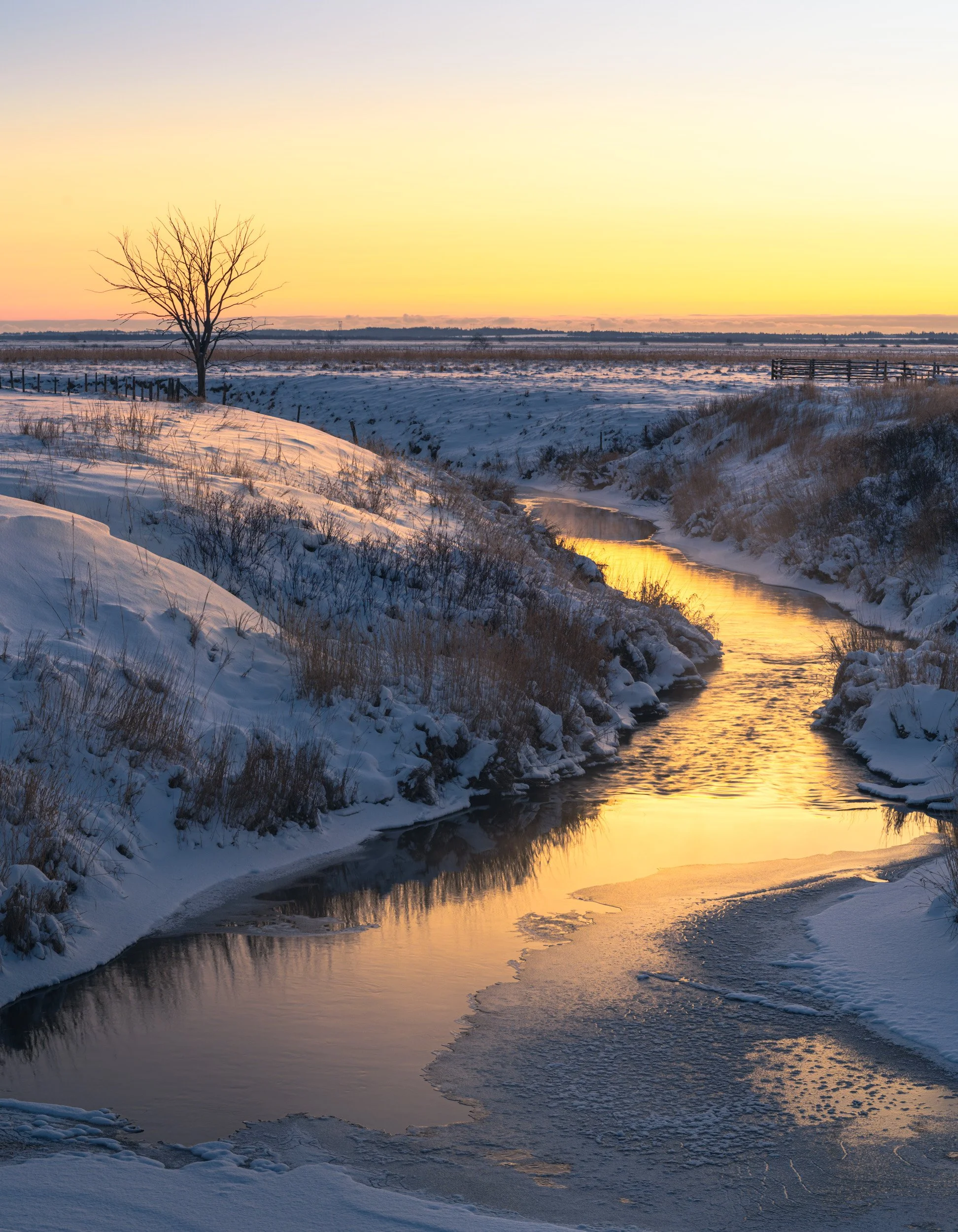 First Light on Morice Creek - 2328