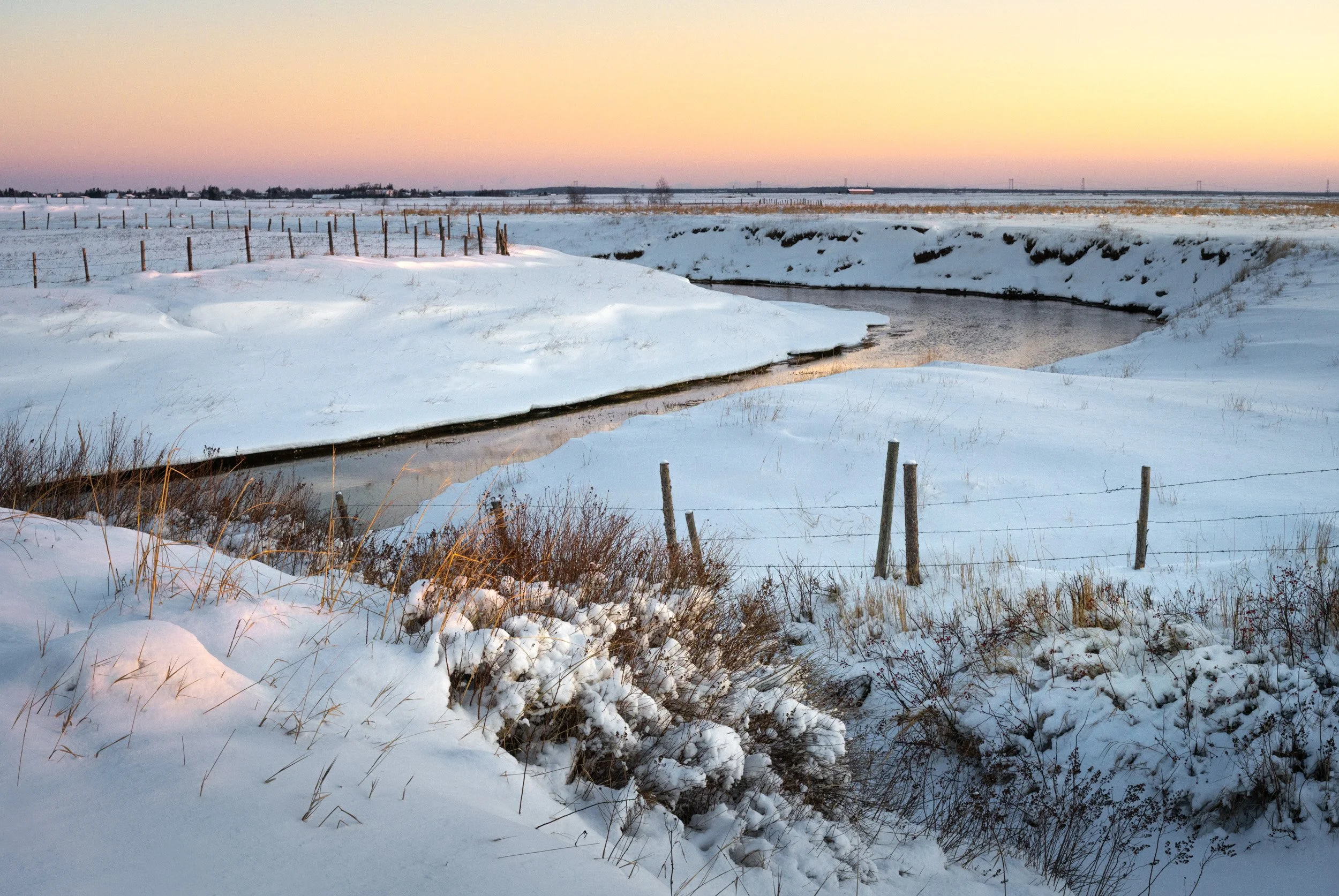 Winter Pasture at Sunrise - 6002