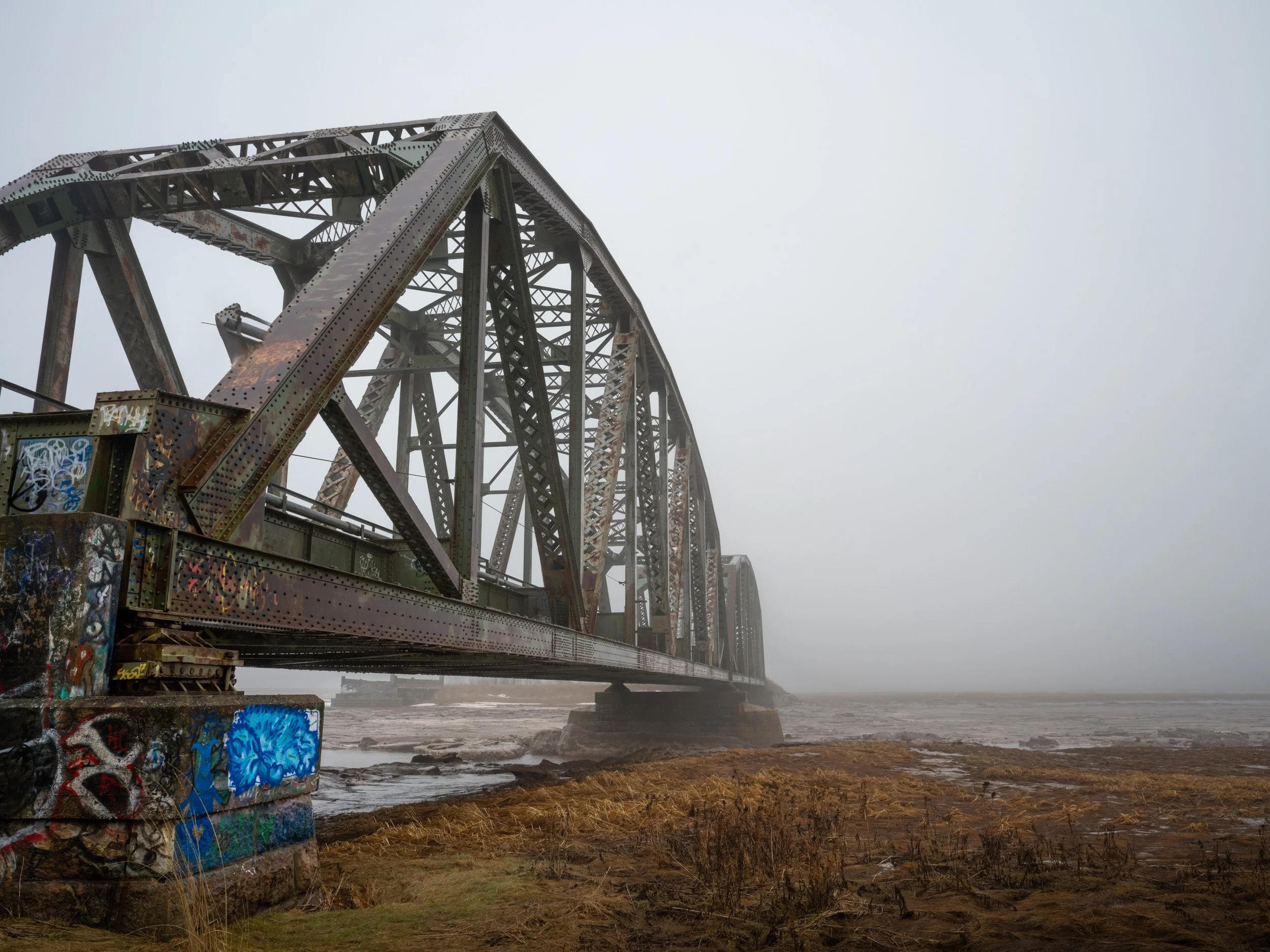 A Bridge to Fog - 6359