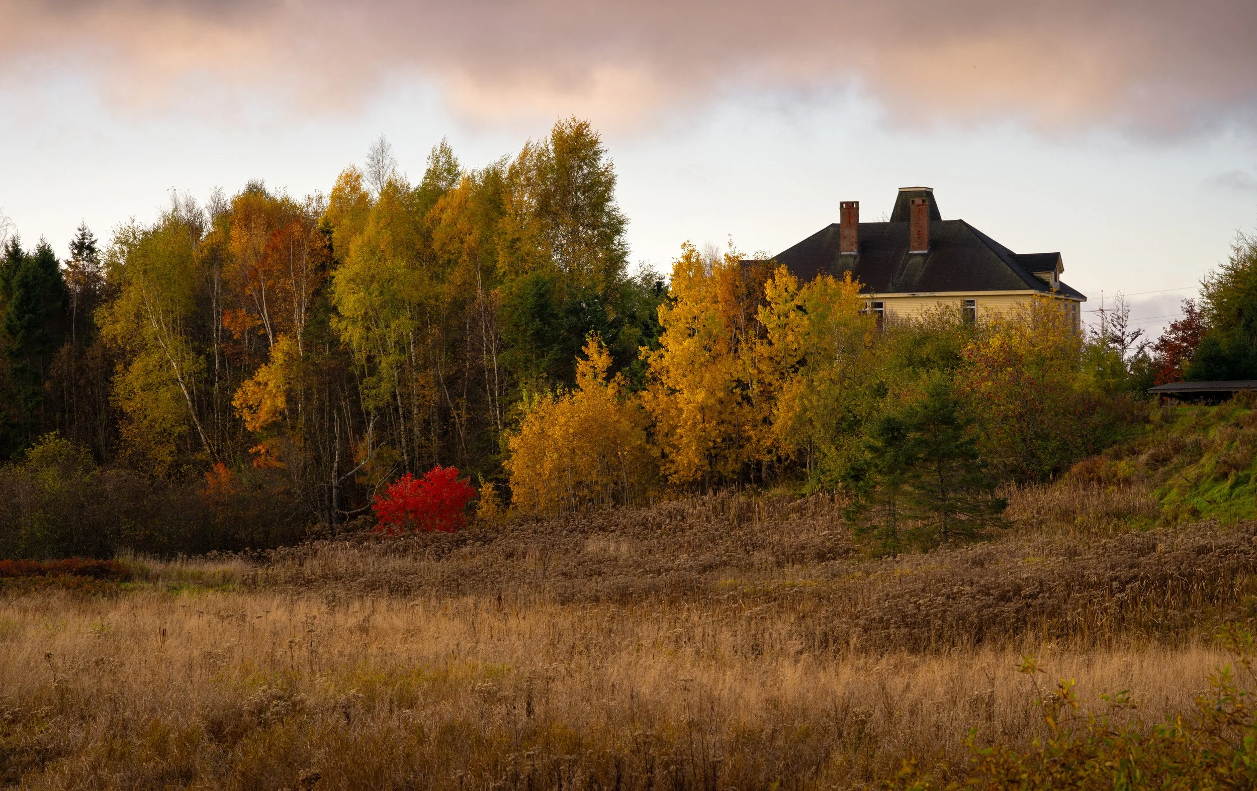 Old Schoolhouse Fall - 2185