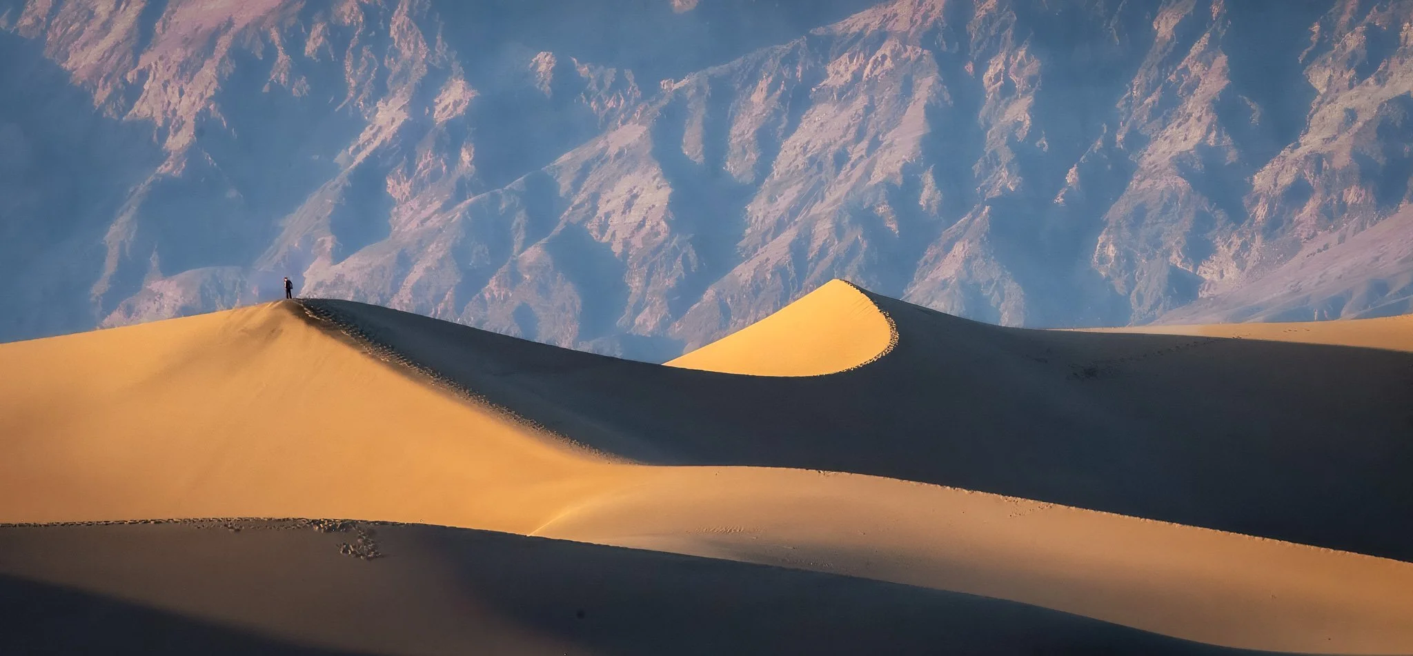 Man on the Dune - 8281