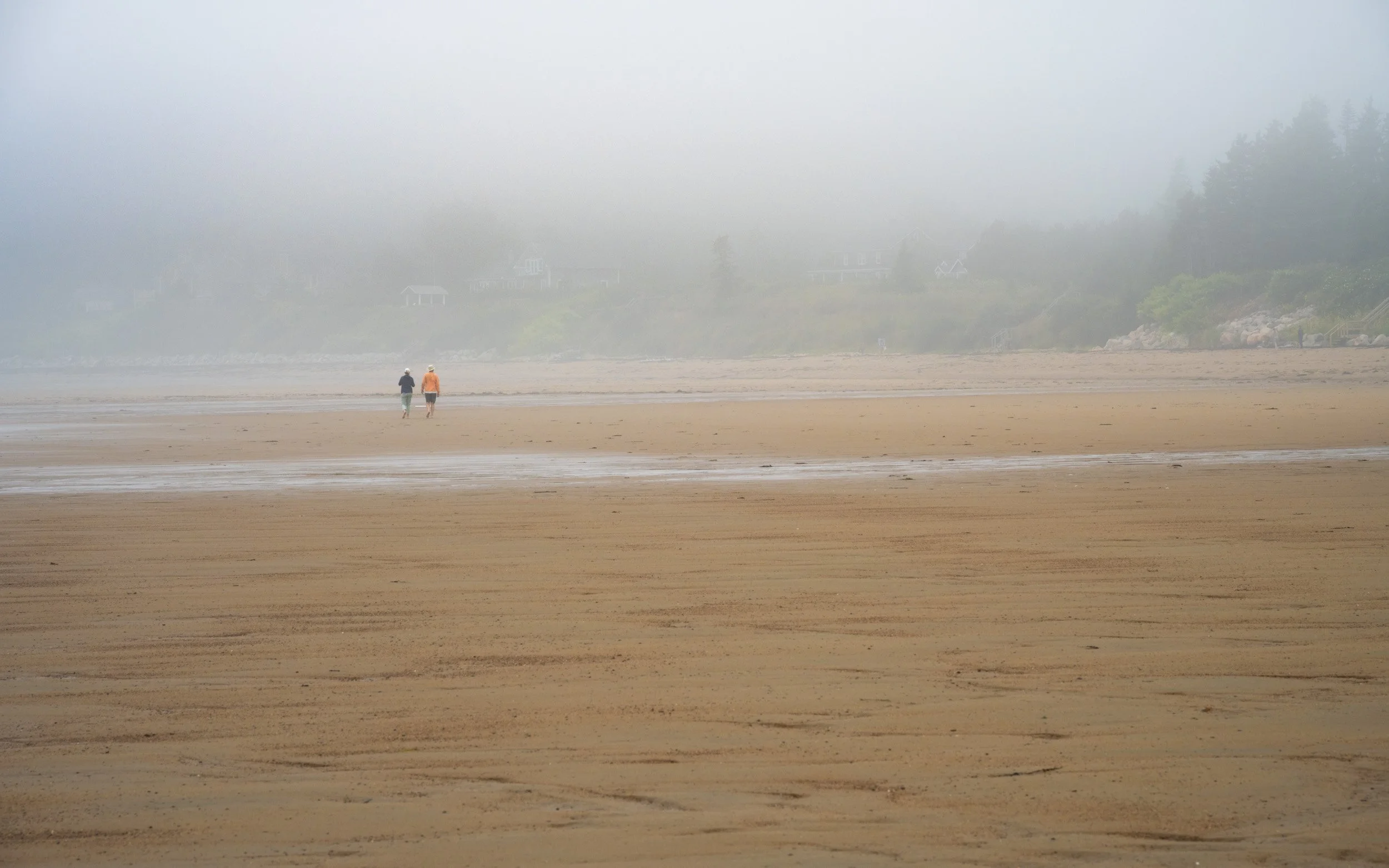 Beach Walk in the Fog - 5412