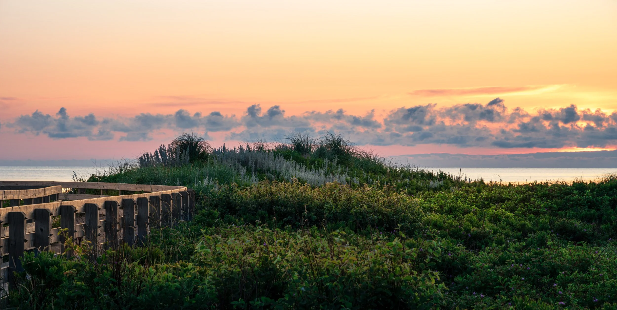 Backdune Sunrise - 4831