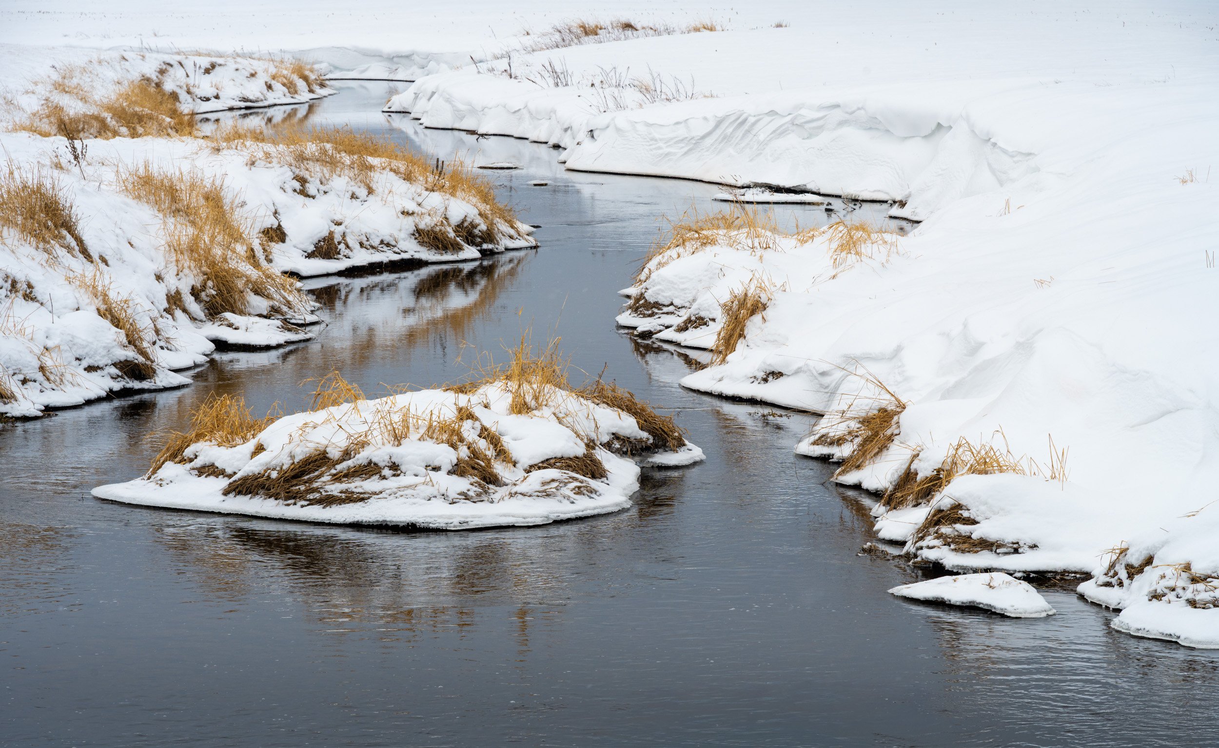 Winter's Mirror - 6266
