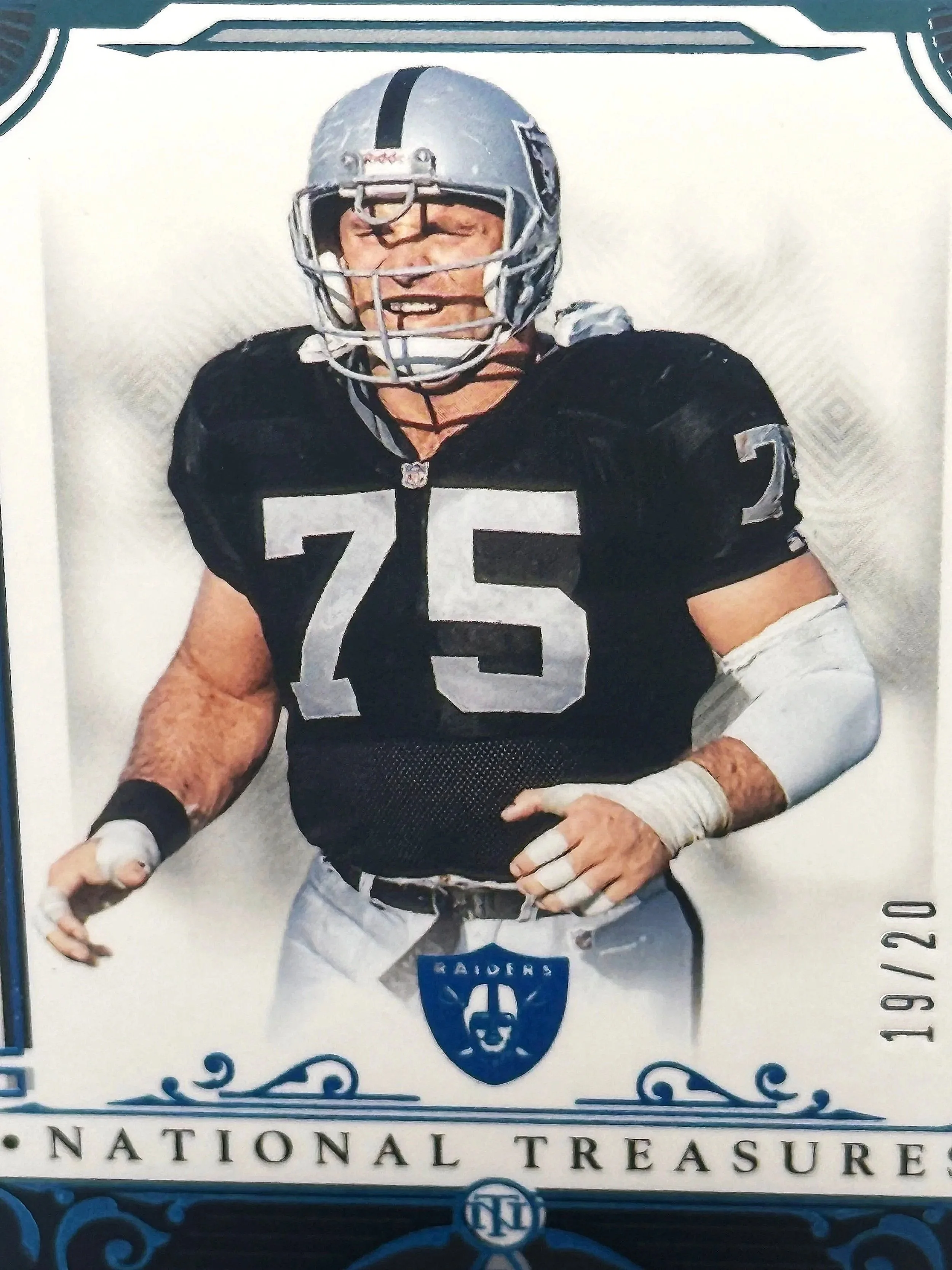 2025 National Treasures LA Raiders Howie Long NT #54 /20 football card front detail