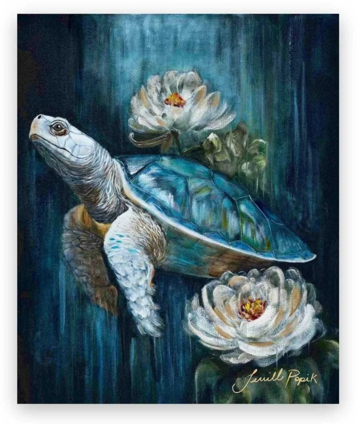 turtle.jpg