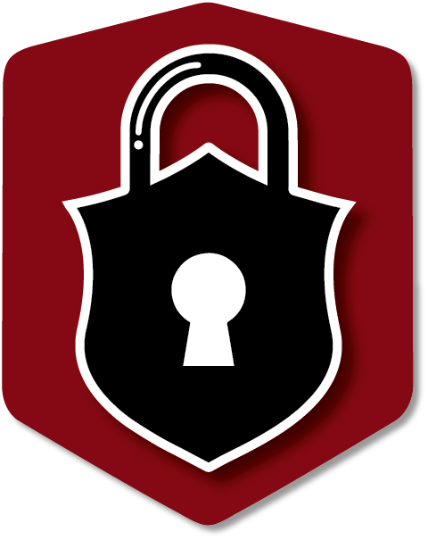 Storage Brothers safe and secure icon