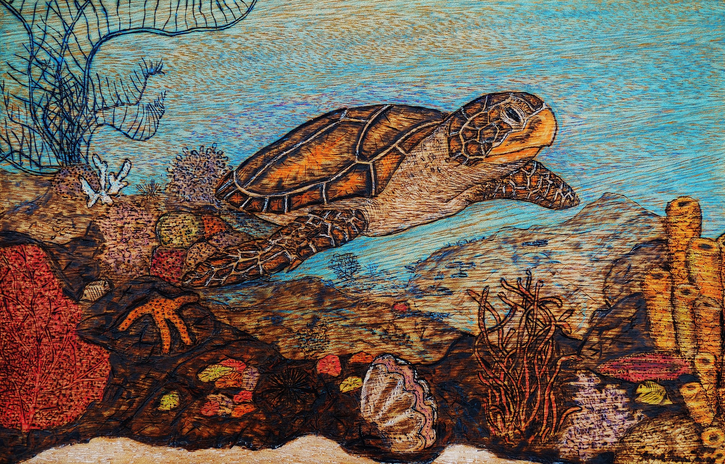 🔴 Sold:
Sea Turtle Glides Along the Coral Reef Pyrography by Art Illusions by Young, Folsom, Louisiana. This detailed woodburn captures a graceful sea turtle swimming above a vibrant coral reef, its shell and flippers rendered with intricate scale p