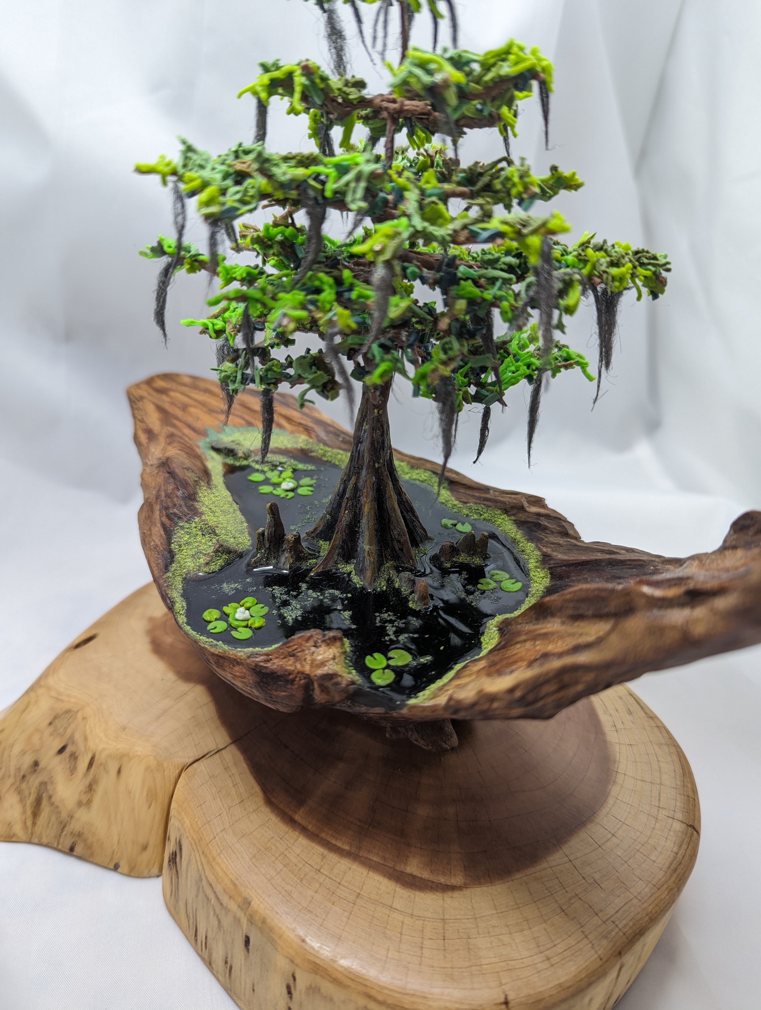 Cypress Swamp Diorama donation on olive wood base