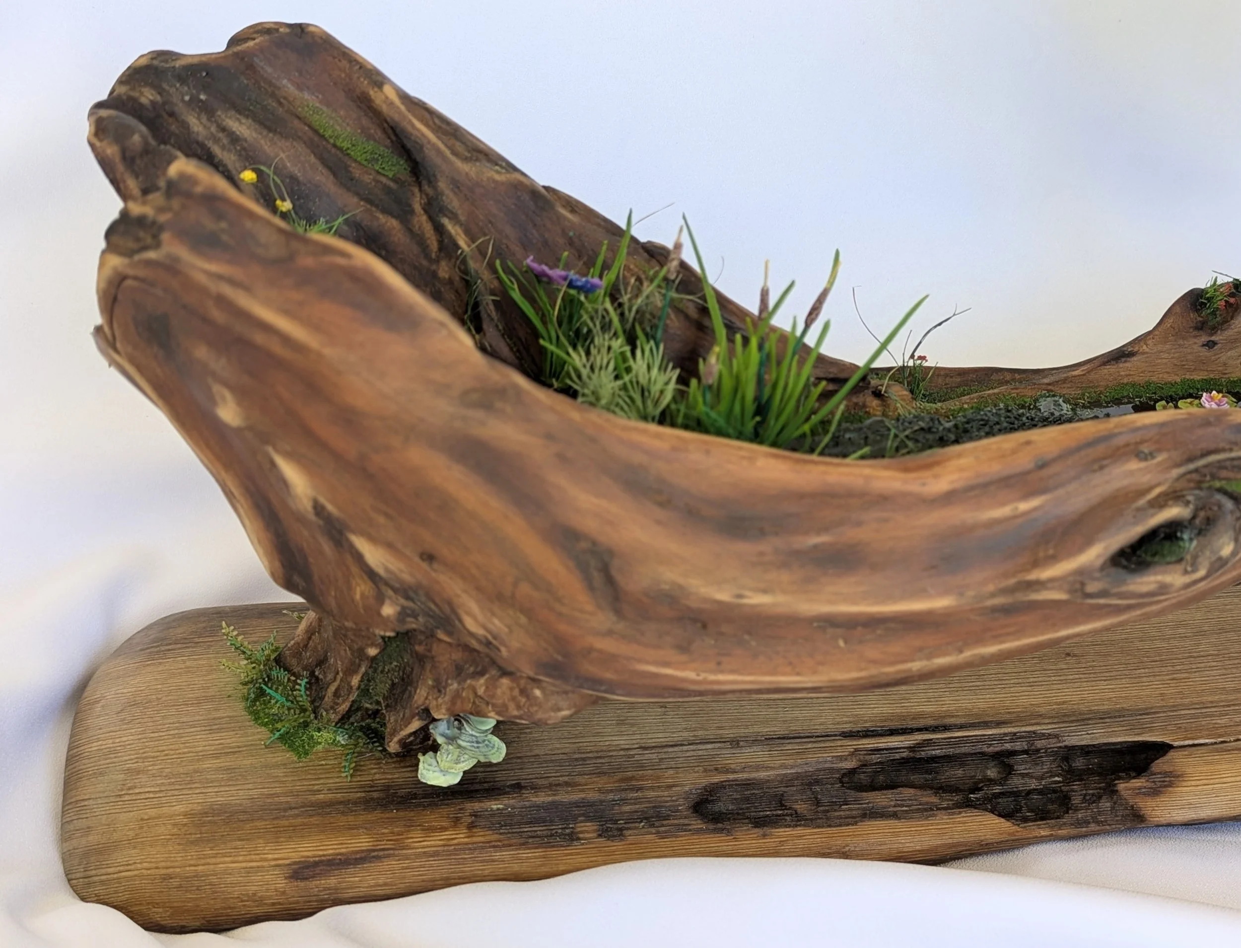Close-up cross-section of driftwood showing layered textures, moss, and small plants in a micro swamp landscape by Art Illusions by Young.