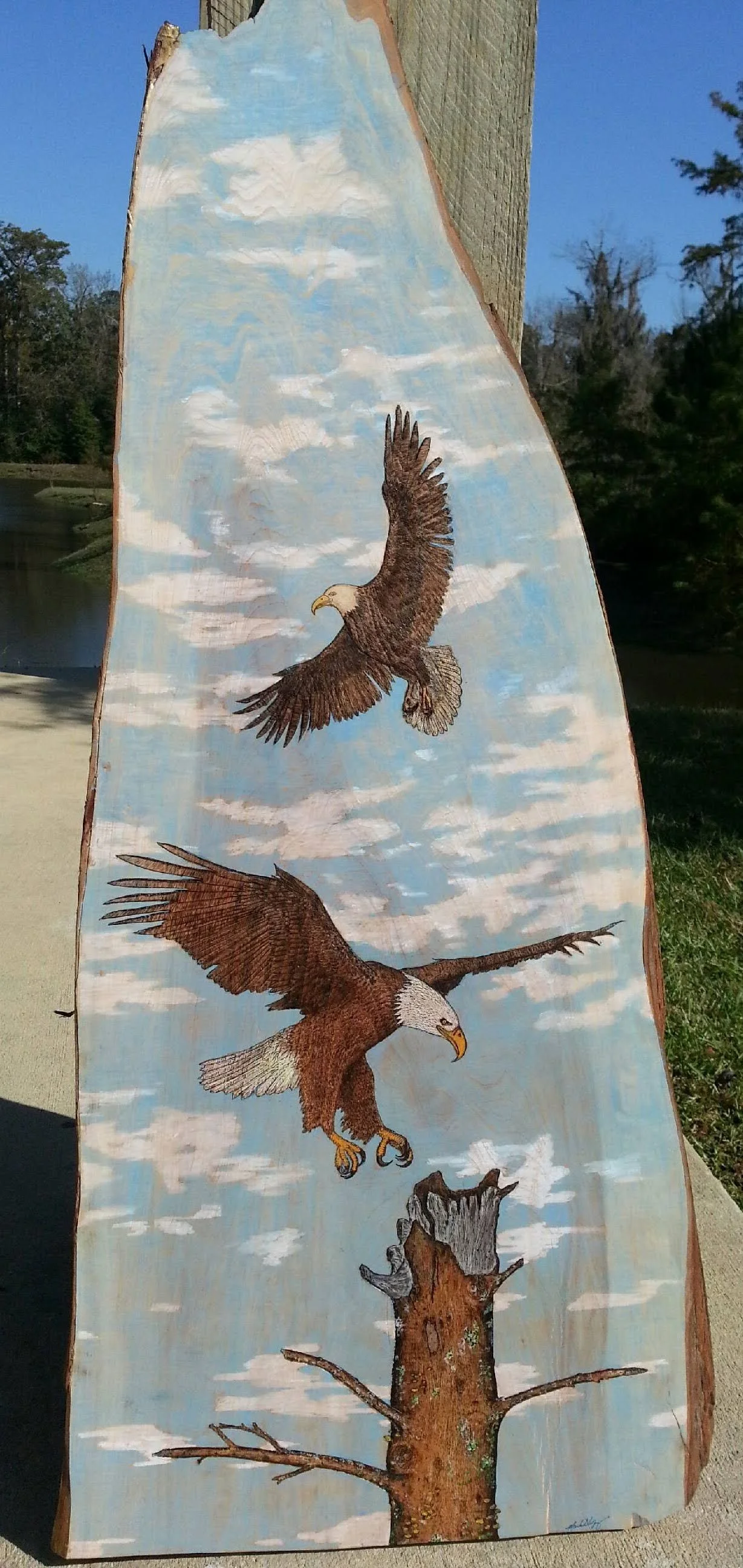 Eagles on the Bayou – Majestic Predators in Pyrography