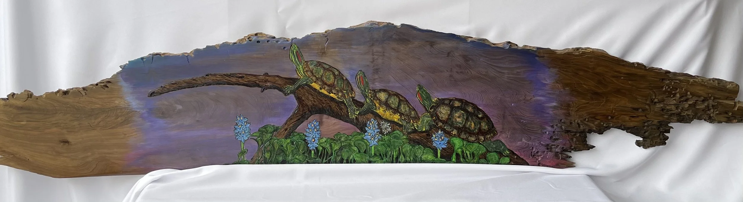 Red-Eared Sliders – Morning on the Pond
