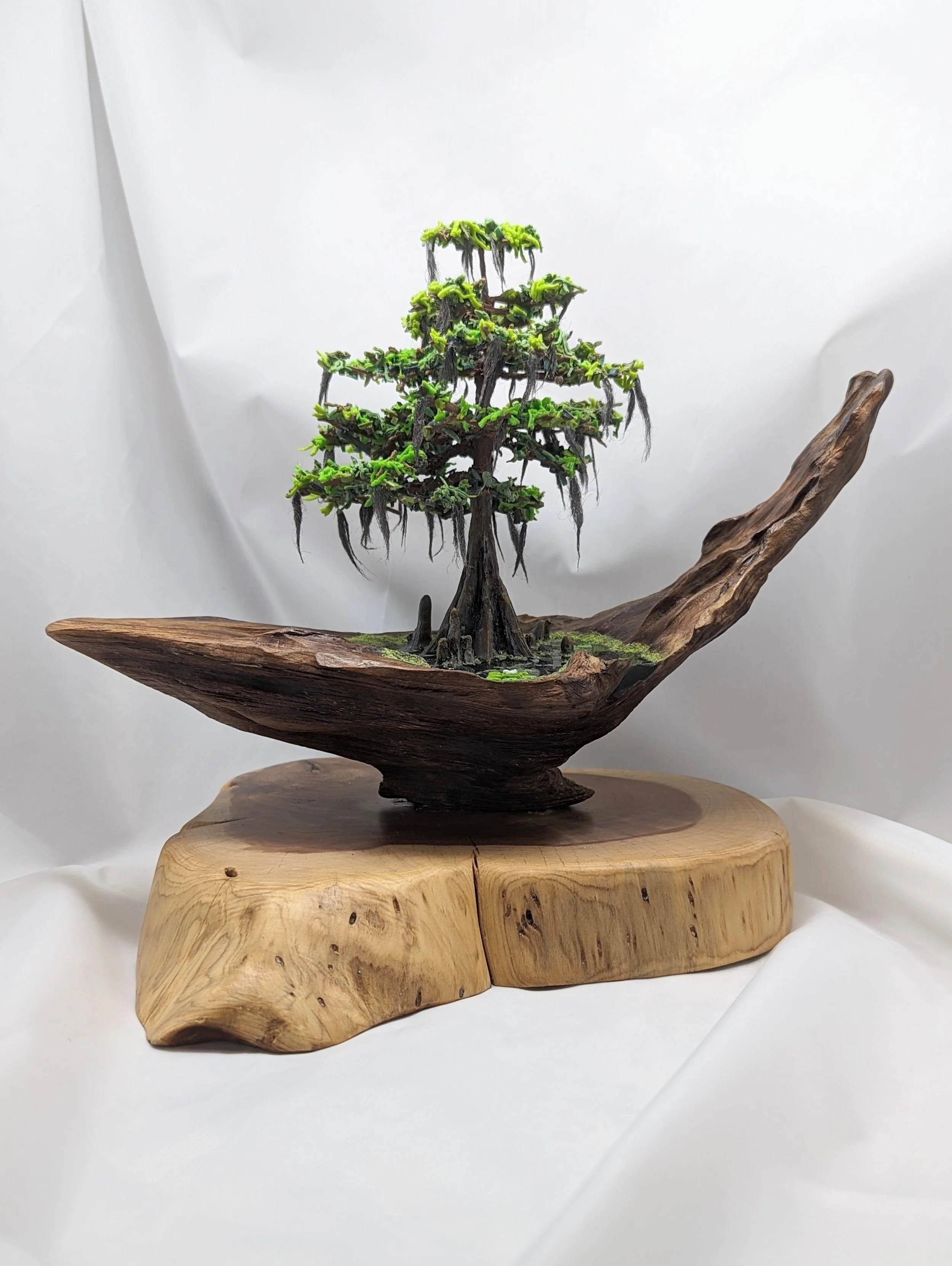 Cypress Swamp Diorama with lilies and alligator