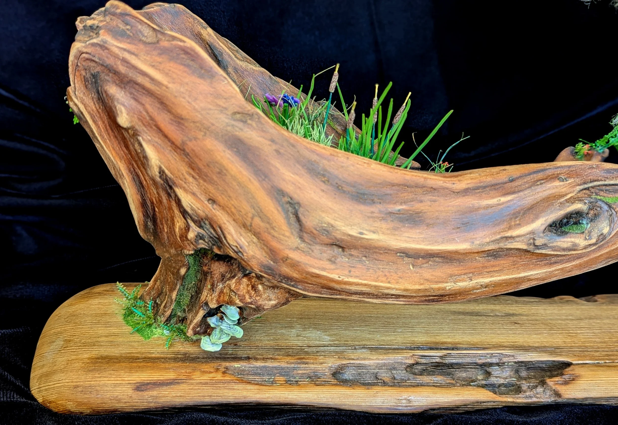 Curved cypress driftwood base with upright miniature sculpted cattails and resurrection fern and moss in a micro swamp bonsai diorama. Hand-sculpted details by Art Illusions by Young capturing Louisiana bayou serenity.