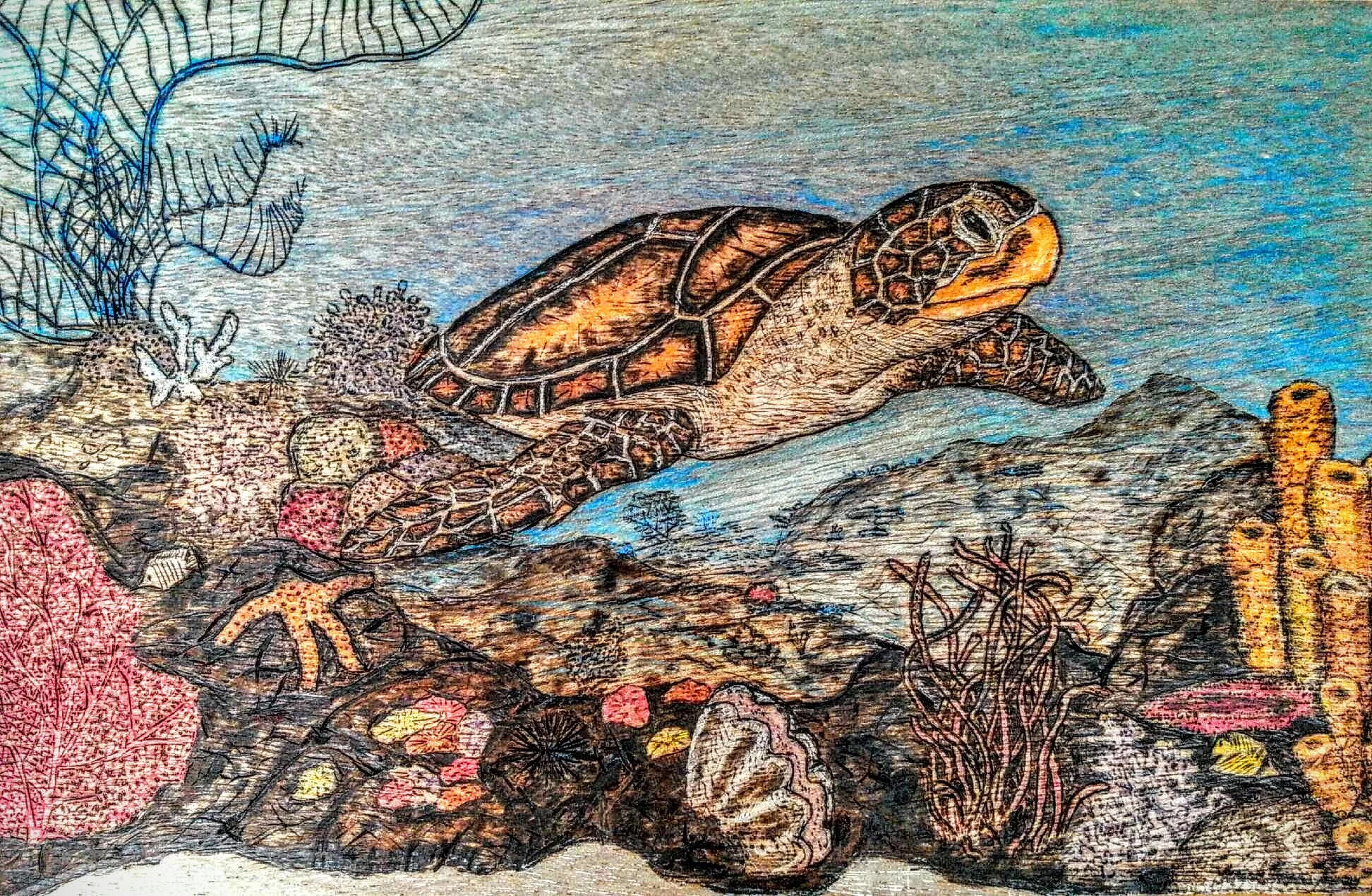 Sea Turtle Gliding Over the Coral Reef by Art Illusions by Young, Folsom, Louisiana. Hand-burned pyrography on oak featuring a detailed sea turtle swimming above a vibrant coral reef, enhanced with layered pigments and painted details.