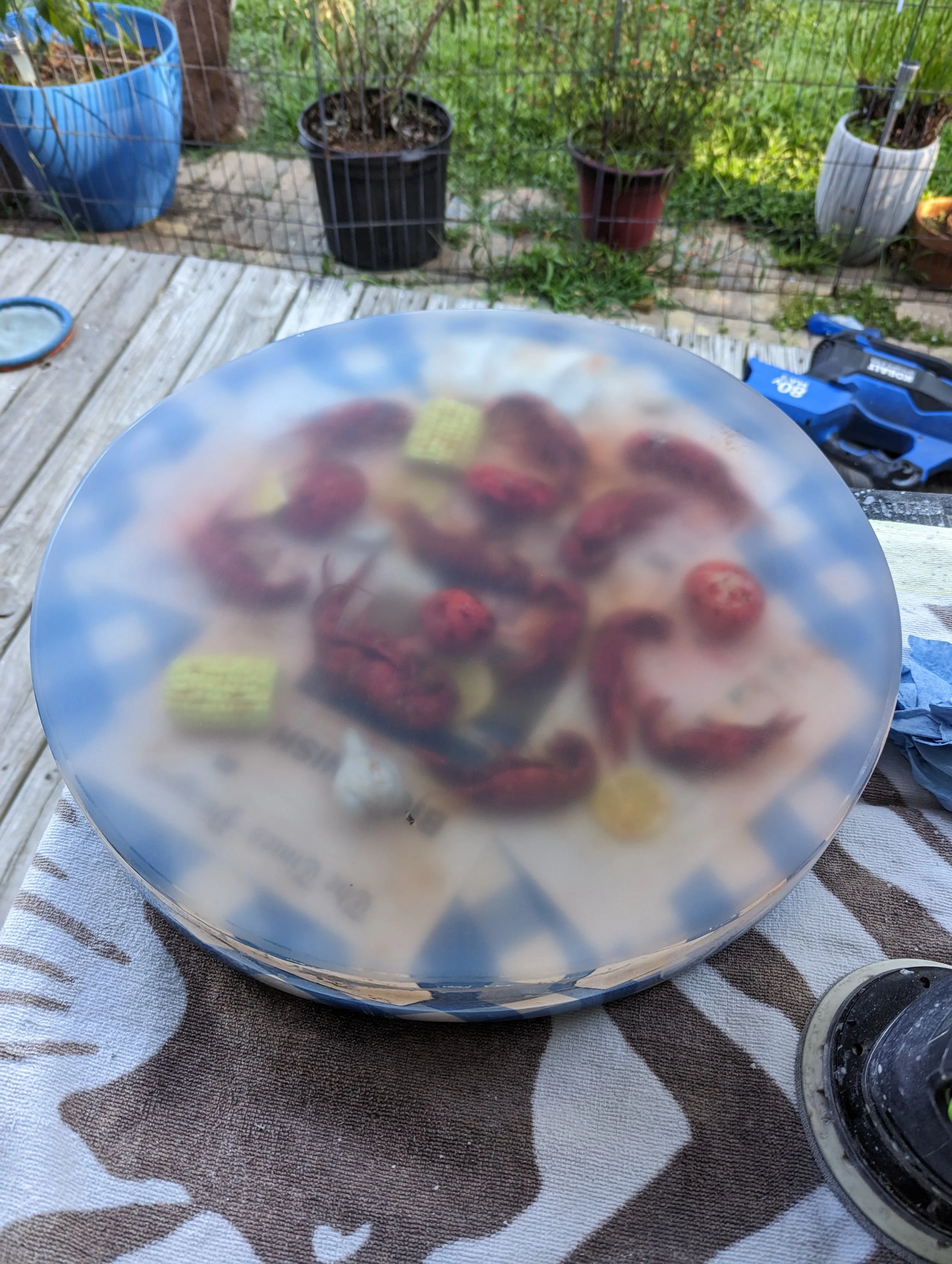 PXL_20230613_224641487.jpg