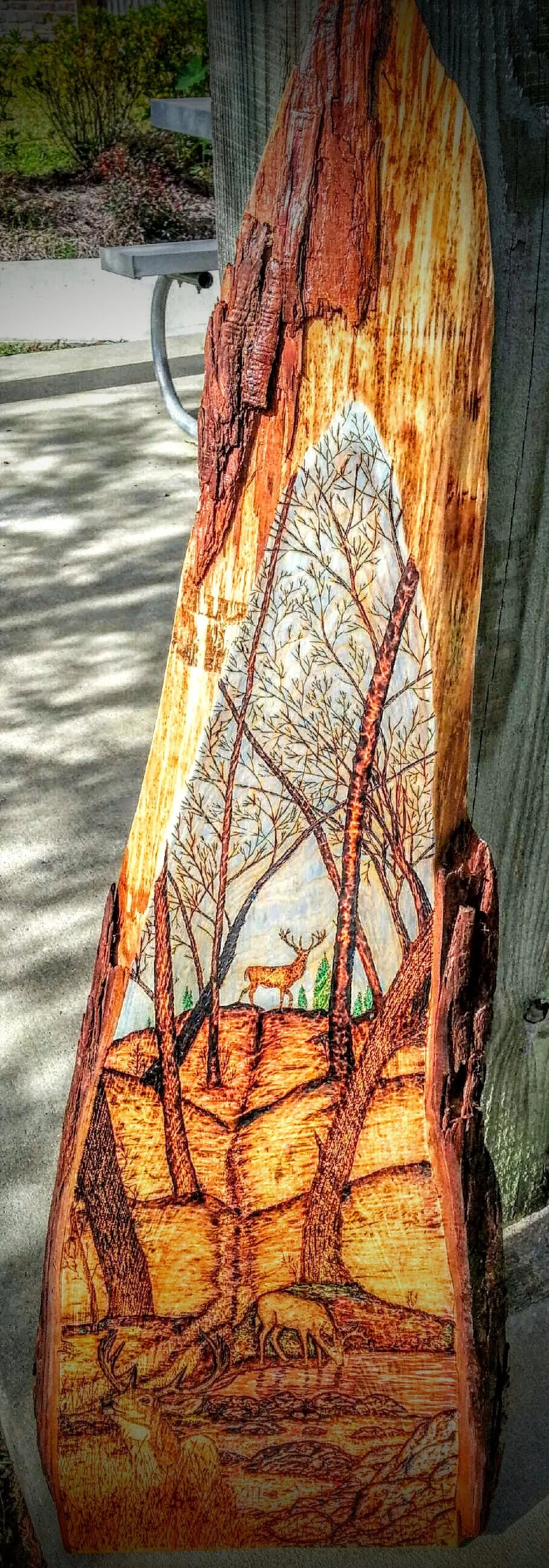 🔴 Sold:
Carolina Deer Pyrography. Deer in the Woods pyrography artwork by Art Illusions by Young. Delicate scene of a white-tailed deer standing among bare winter trees beside a frozen stream, rendered with fine line work and subtle color layering t