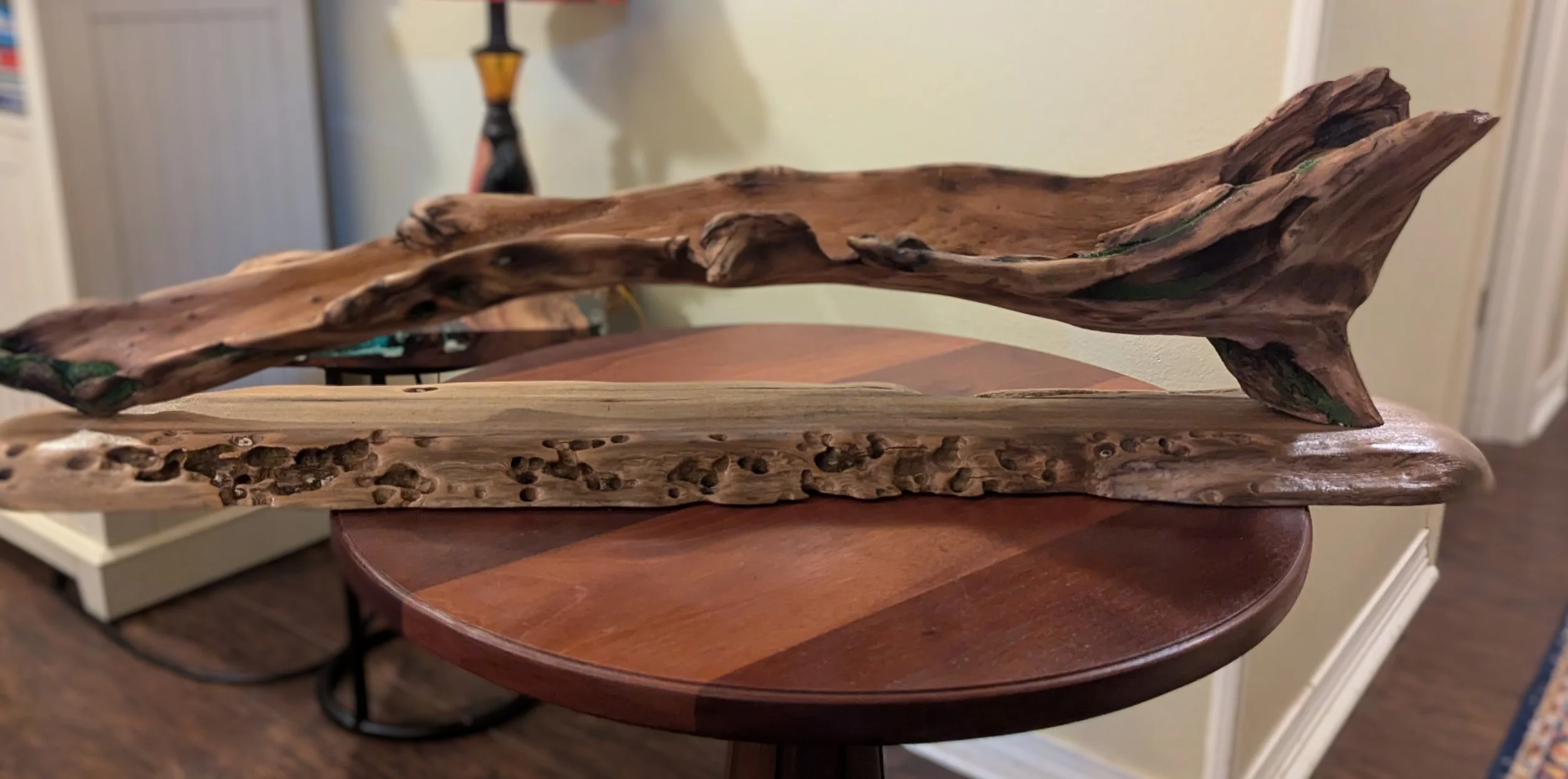 Handcrafted micro swamp diorama by Art Illusions by Young in Folsom, Louisiana. Weathered pecky driftwood base with beautiful salvaged hollowed cypress branch. Part of the Micro Swamp / Bonsai series.